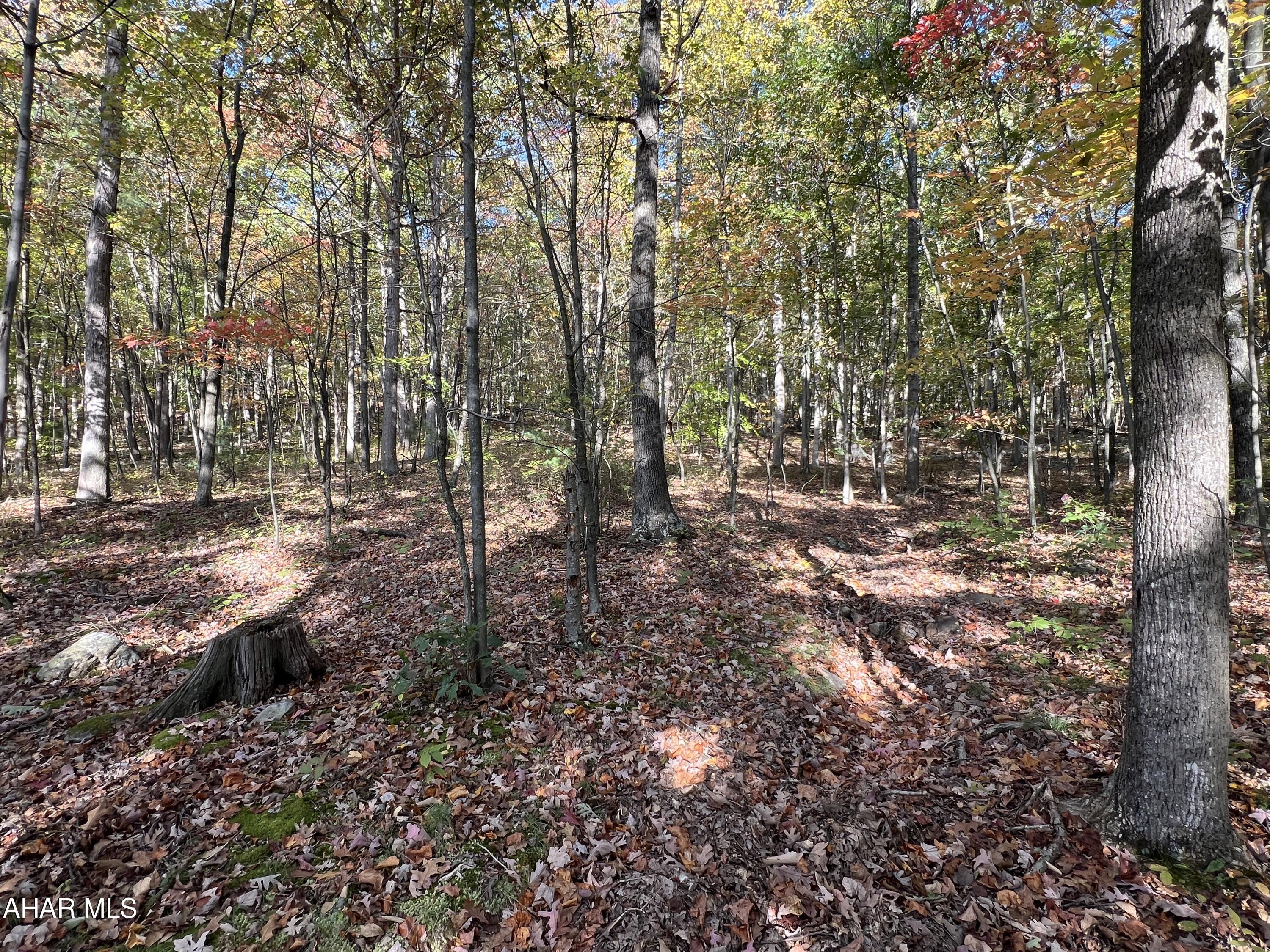 None - Commercial Sale