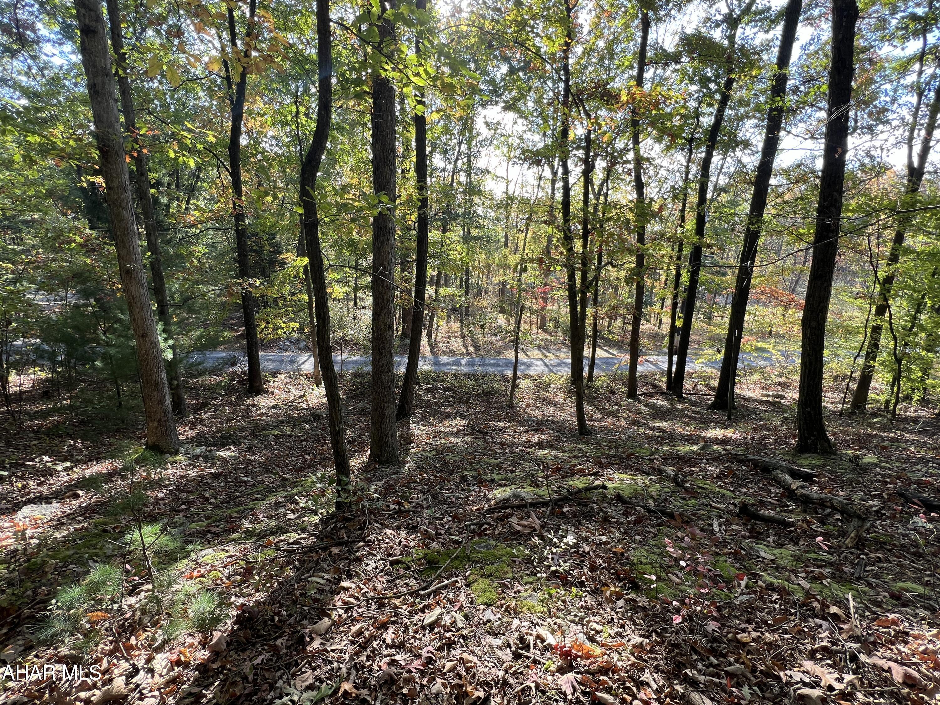 None - Commercial Sale