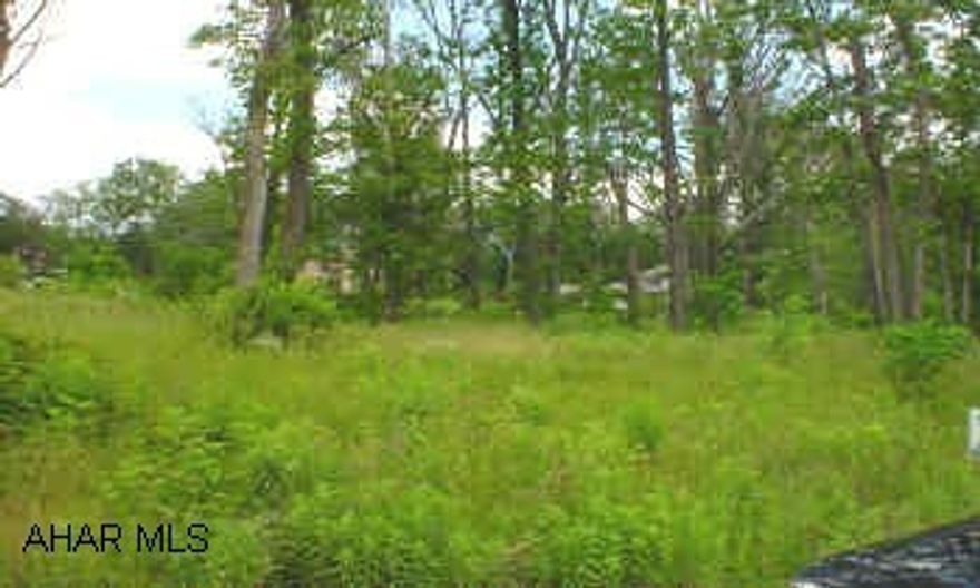 PRIME BUILDING LOT HUNTER WOODS-One of Blair County's most exclusive ares. Near Blairmont Club and Sylvan Hills Golf Course. Nearly one full acre with all public utilities. Gas and electric available. Step up to luxury.
