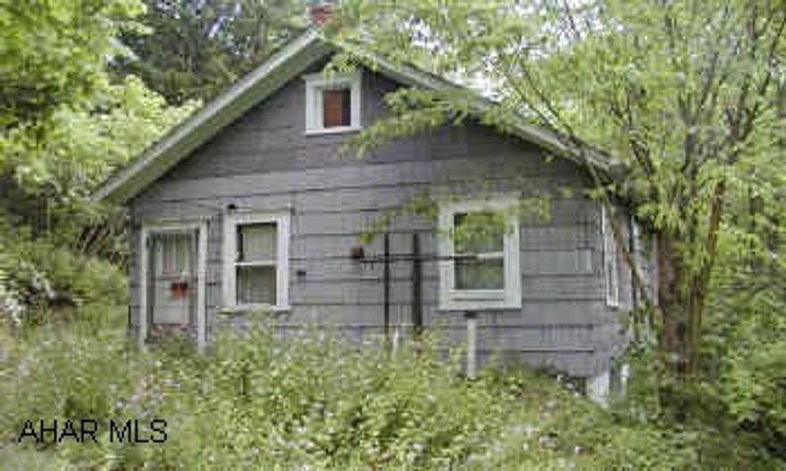 Small home on large hillside lot.  City water, septic system is not working, Sewer service is available, but the property is not hooked on.