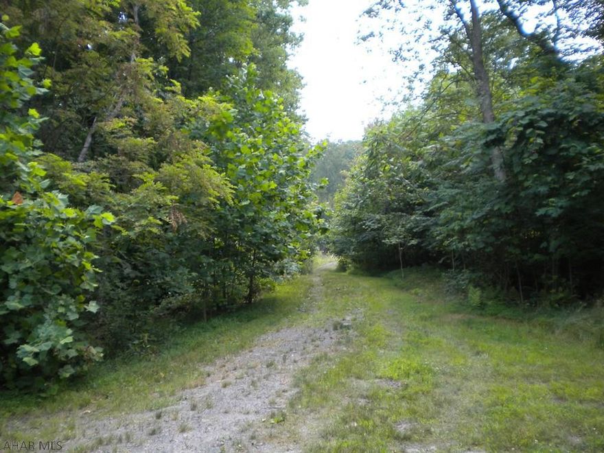 46 wooded acres off of Reservoir Road in Hollidaysburg. This property is bordered on two sides by State Game Lands. Breathtaking views from the top of the property!! Small cozy one room cabin recently built on the property.