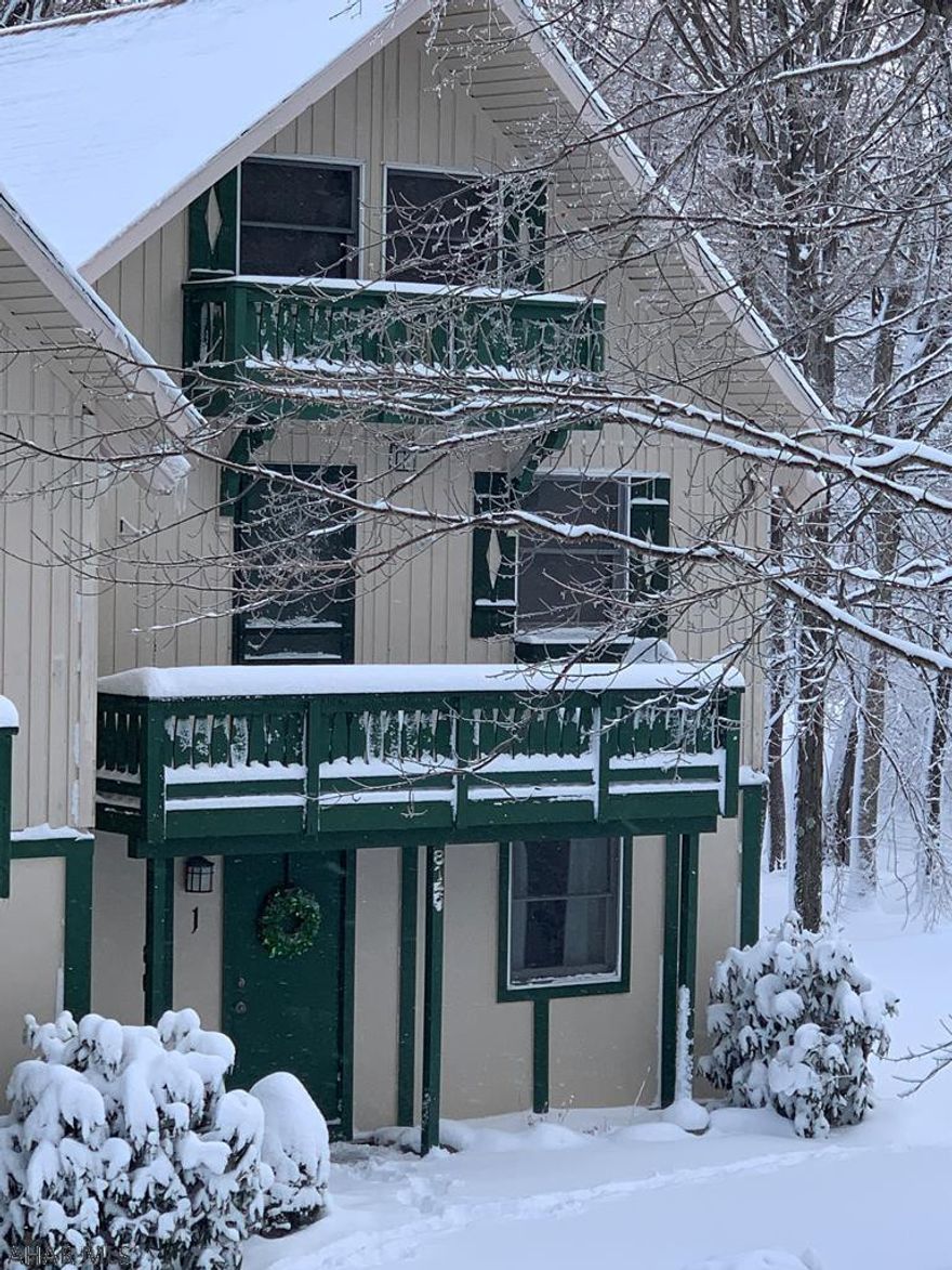 Welcome to your home sweet home or home away from home!  Great location located in Blue Knob. From some of the best of Pennsylvania's skiing, hiking, biking, golfing, snow tubing just to mention a few. The unit is a bottom end unit.  1 spacious bedroom, 1 bathroom including a large kitchen, dinning room and  living room.. Enjoy watching the snow fall from your living area or the beautiful sunsets in the summer months. Sip on your hot coco and enjoy the warmth of the propane stove. Step right out to nature from your covered deck.   This unit is already furnished for you!  Bring your skiis and hit the slopes this winter!  HOA fees do apply.  Don't miss out on this beautiful year around condo!