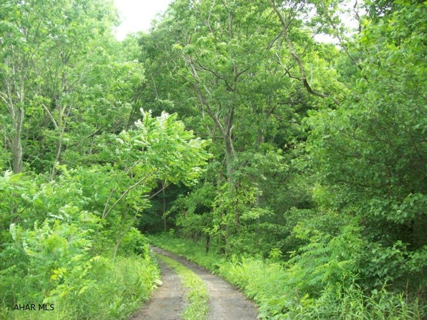 Raw wooded ground. No utilities on the property.