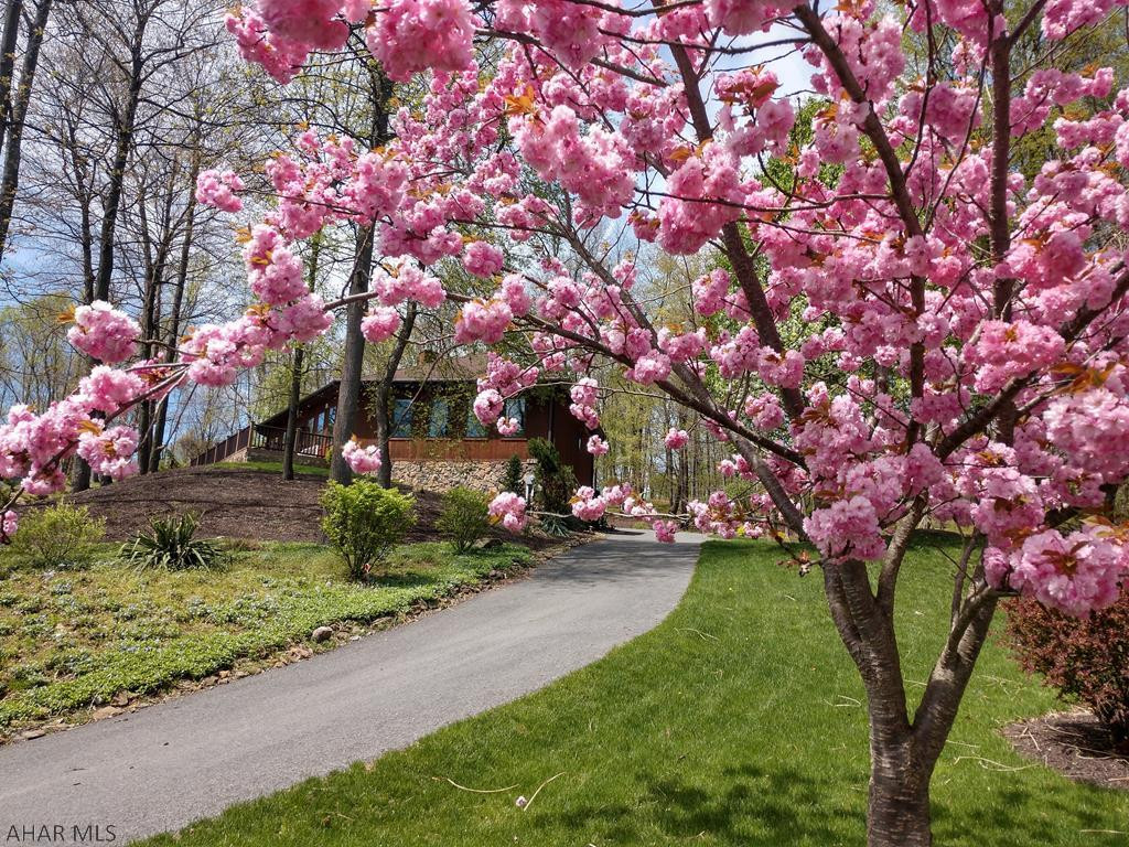 Juniata Mills - Residential