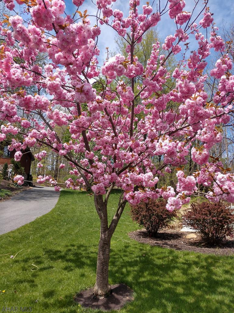 Juniata Mills - Residential