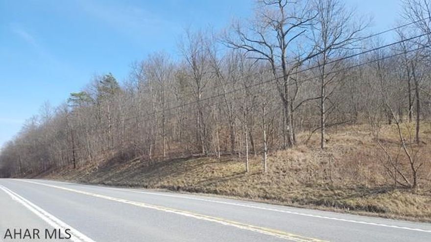 45+or- ACRES OF PURE PARADISE... DON'T MISS THIS ONE...2 PERK TEST APPROVED BUILDING SITES, AMAZING VEIWS,PRIVATE ACCESS WITH ROADS AND DRIVEWAY ALREADY CUT ONTO THE PROPERTY, BUILDING YOUR DREAM HOME IN A FAIRY TALE LOCATION, MINUTESS FROM SHAWNEE STATE PARK .