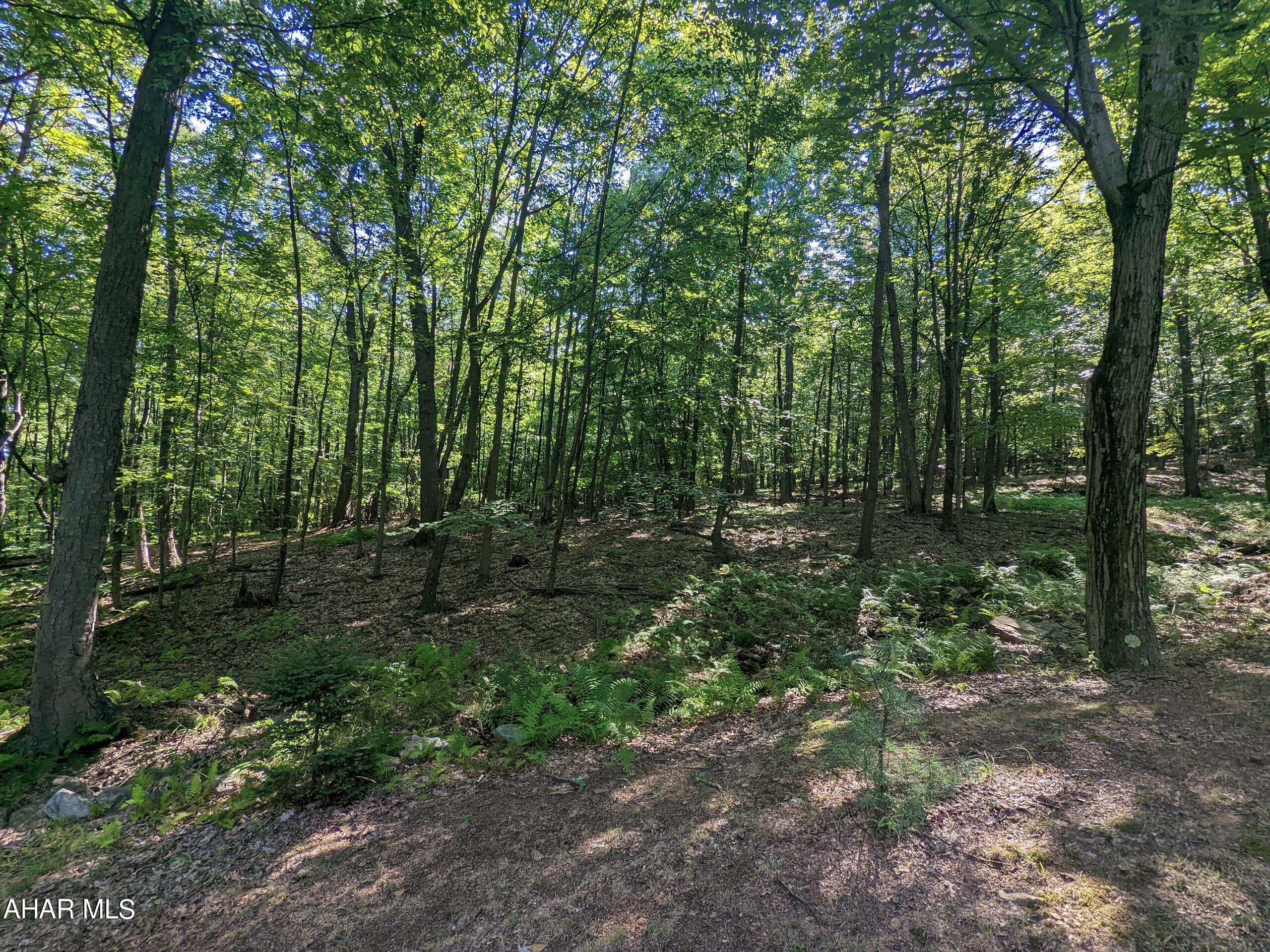 Bellemeade - Residential