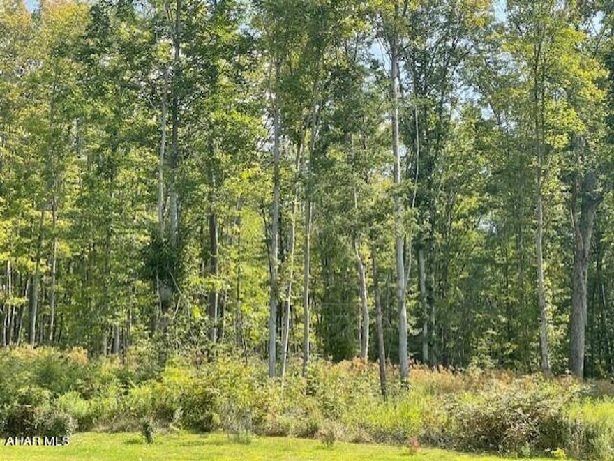 88.02 Acres for sale between Altoona & State College. Property is conveniently located 22 miles from each. Property has access to sewer. Property was timbered 2 years ago due to a blight Hemlock tree. They select cut everything greater that 16 inches, so the property will be available for select cut in 10-15 years. Call listing agent for more information.