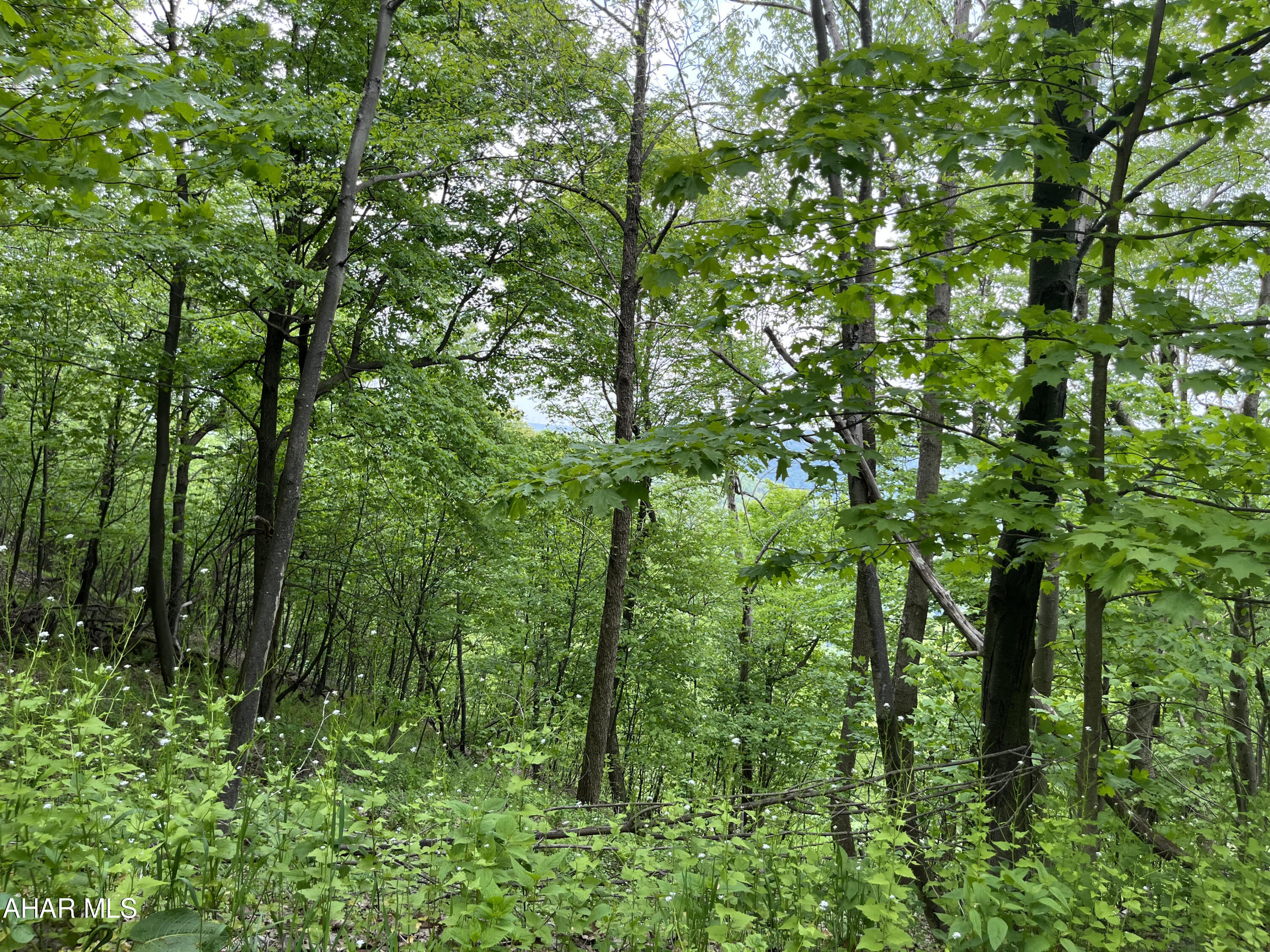 Blue Knob - Commercial Sale