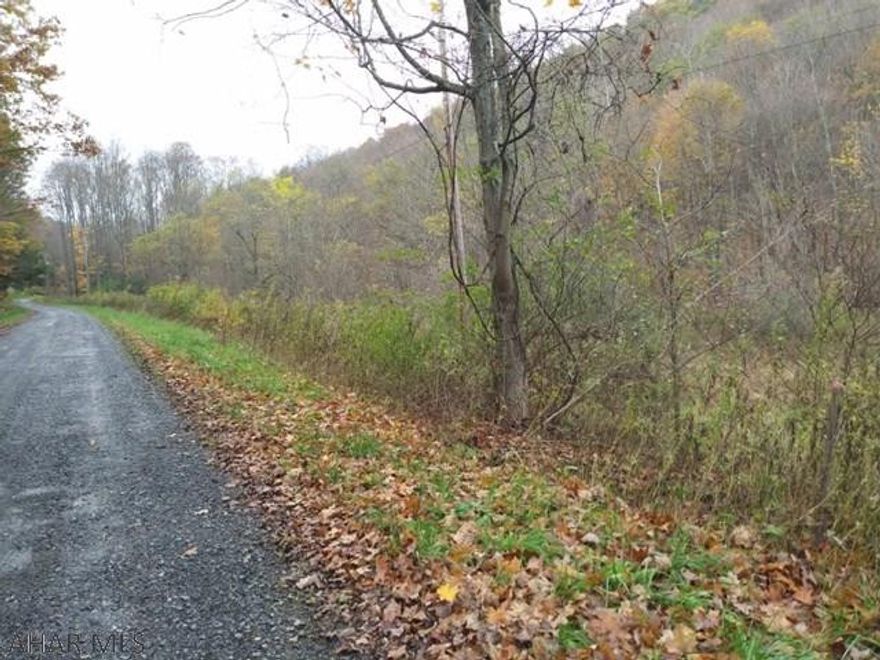 Quiet piece of ground near Blue Knob State Park. Property is partially wooded and has a few small streams running through it. Has been perk approved.