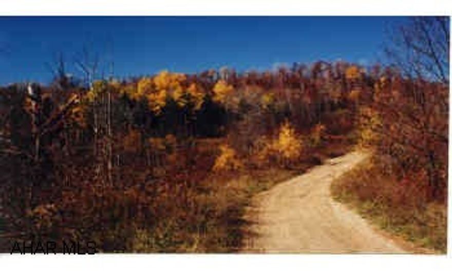 50 wooded acres with cleared areas, some timber value. Good road through the property, nice trout stream, small pond, big beaver dam for great hunting and fishing and complete privacy for great home site or hunting camp, public water near. Bordering 3300+ 50 wooded acres with cleared areas, some timber value. Good road through the property, nice trout stream, small pond, big beaver dam for great hunting and fishing and complete privacy for great home site or hunting camp, public water near. Bordering 3300+ acres of future State Game Lands. Not far from Prince Gallitzin State Park which has 1700 acres of water for great fishing, swimming, boating, picnicing, and hiking through 6000 acres of forested nature trails.    No Deed,  Hardwoods, Pine Trees - No Mineral Rights - Suitable Uses: Horse Farm, Recreation/2nd home, Residential Single Family, Residential Multi-Family, Other, Timber Production