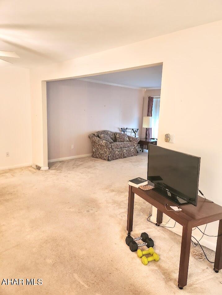 Old Town Village - Residential