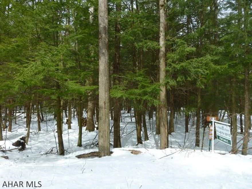 Wooded home site to build your dream home or cabin.  Located in Glendale Yearound, a gated community adjacent to Prince Gallitzin State Park / Glendale Lake.
