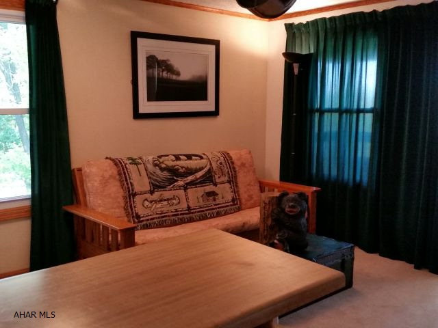 Blue Knob - Residential