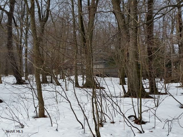 Blue Knob - Residential