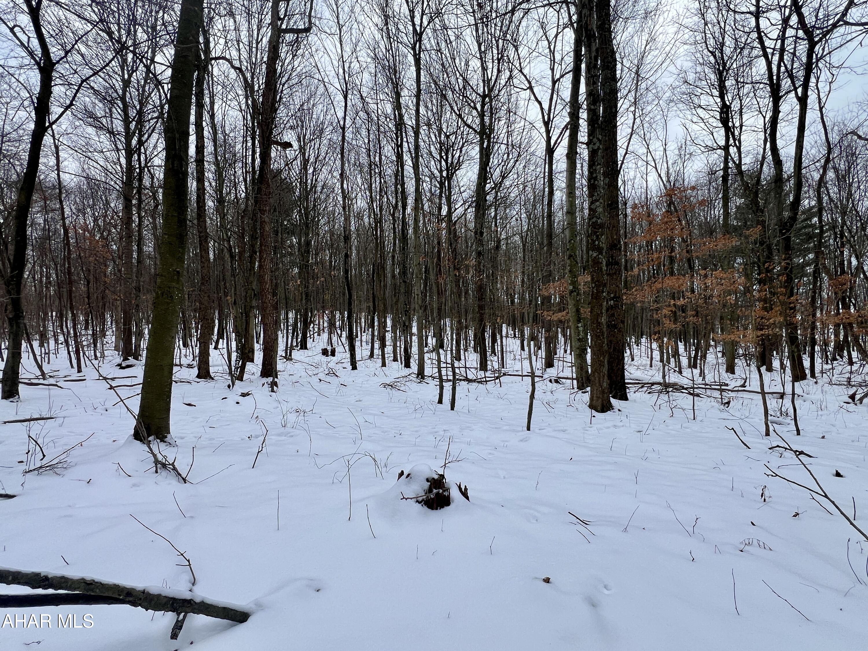 None - Commercial Sale