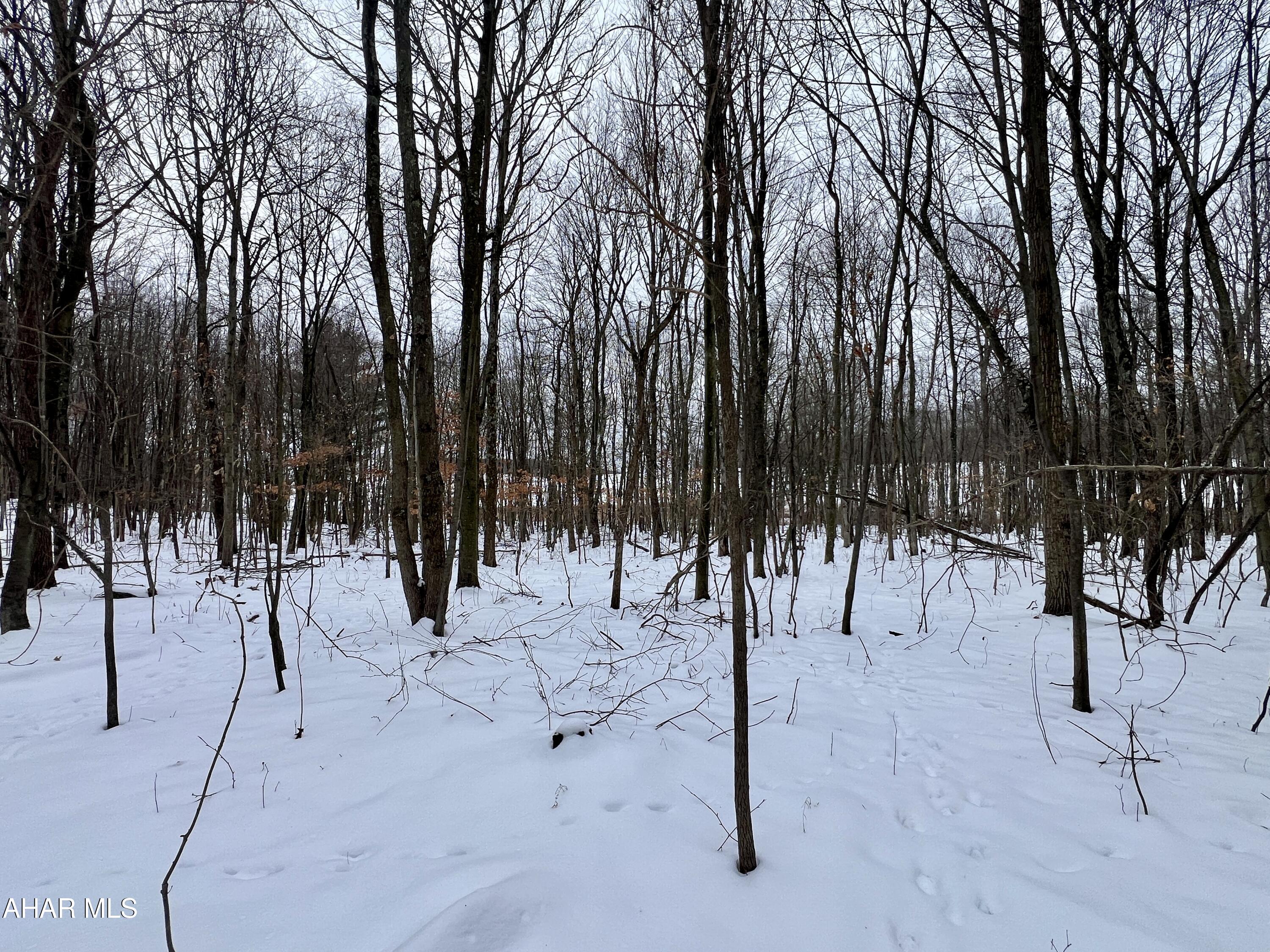 None - Commercial Sale