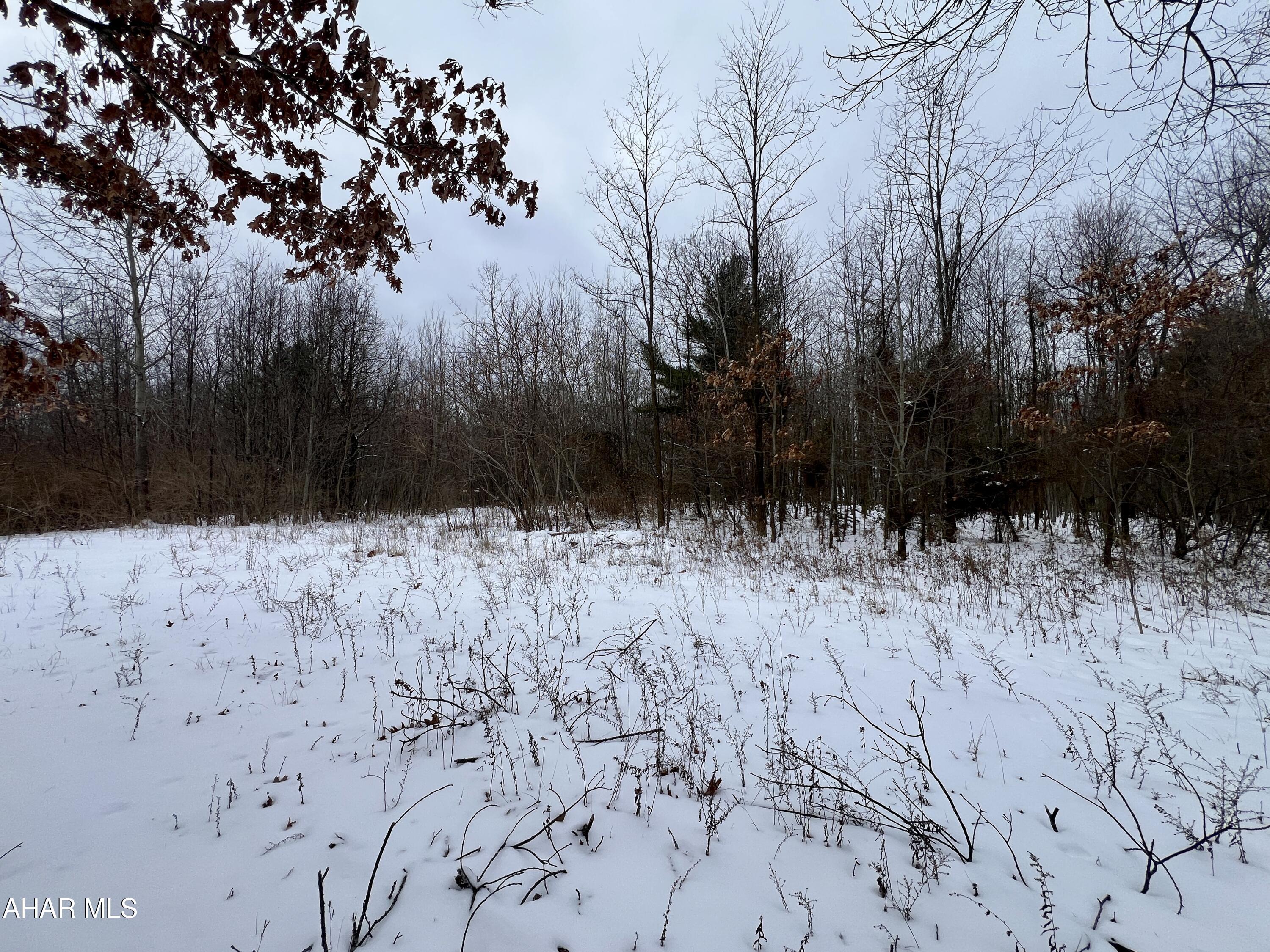 None - Commercial Sale