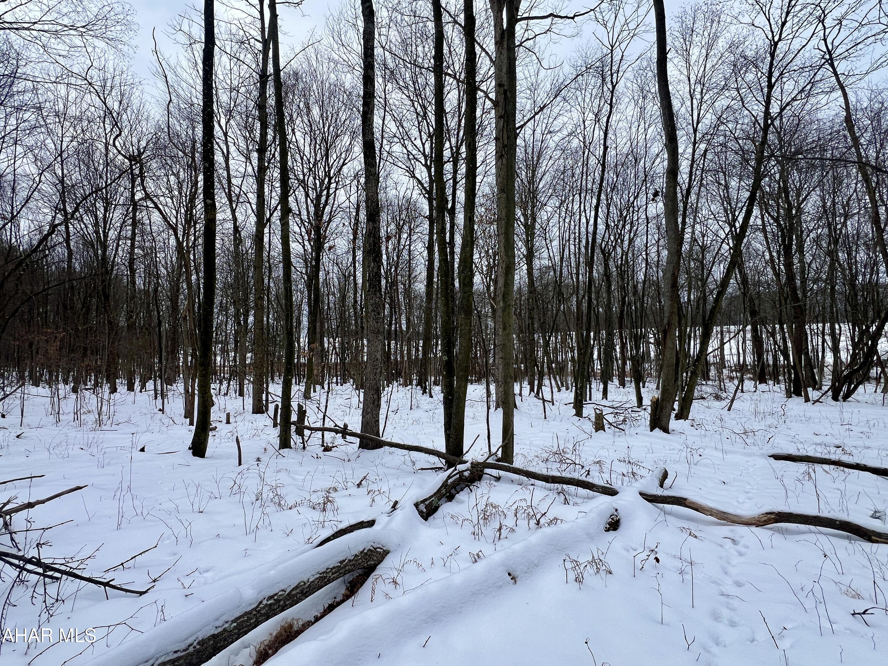 None - Commercial Sale