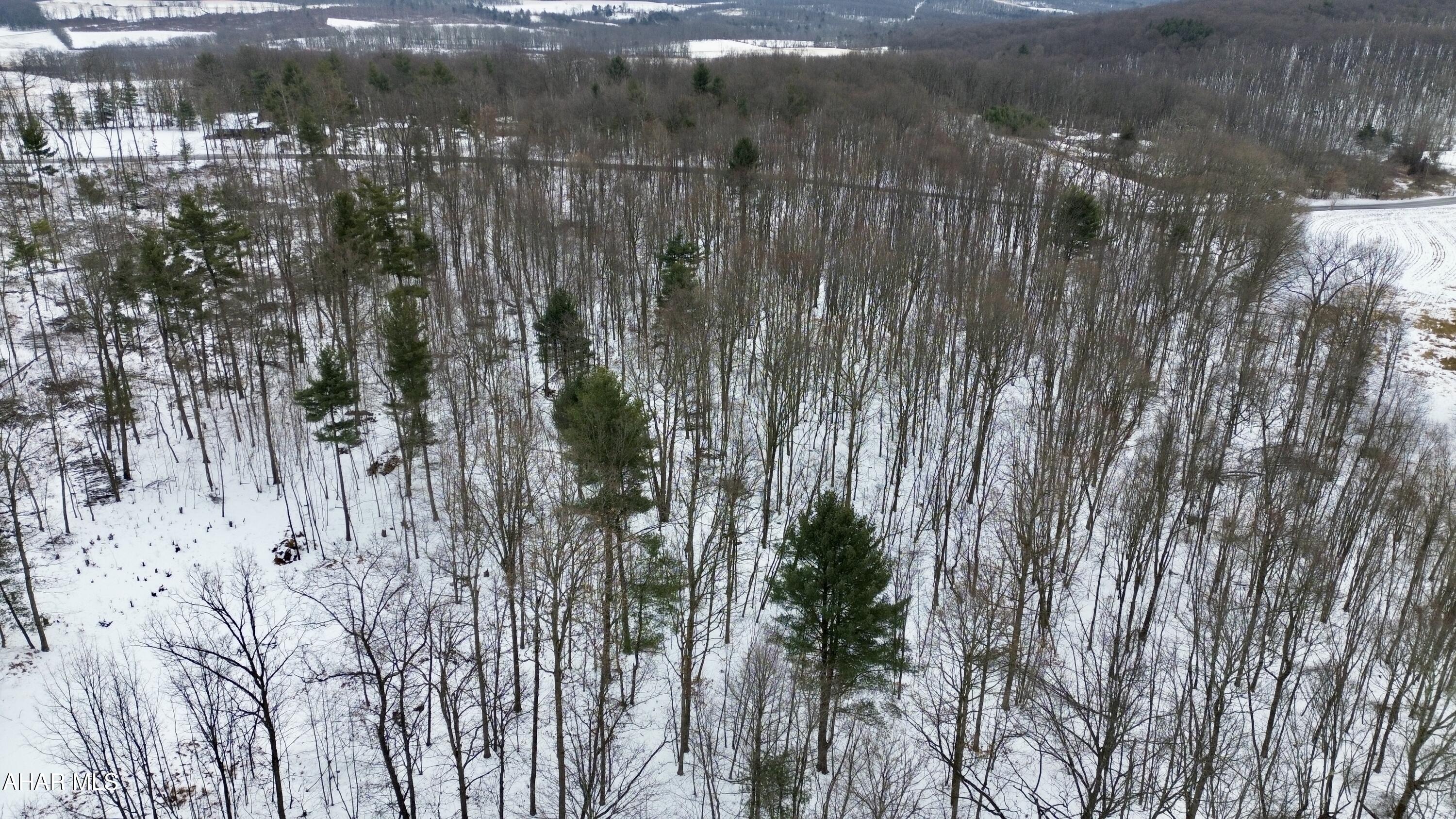 None - Commercial Sale