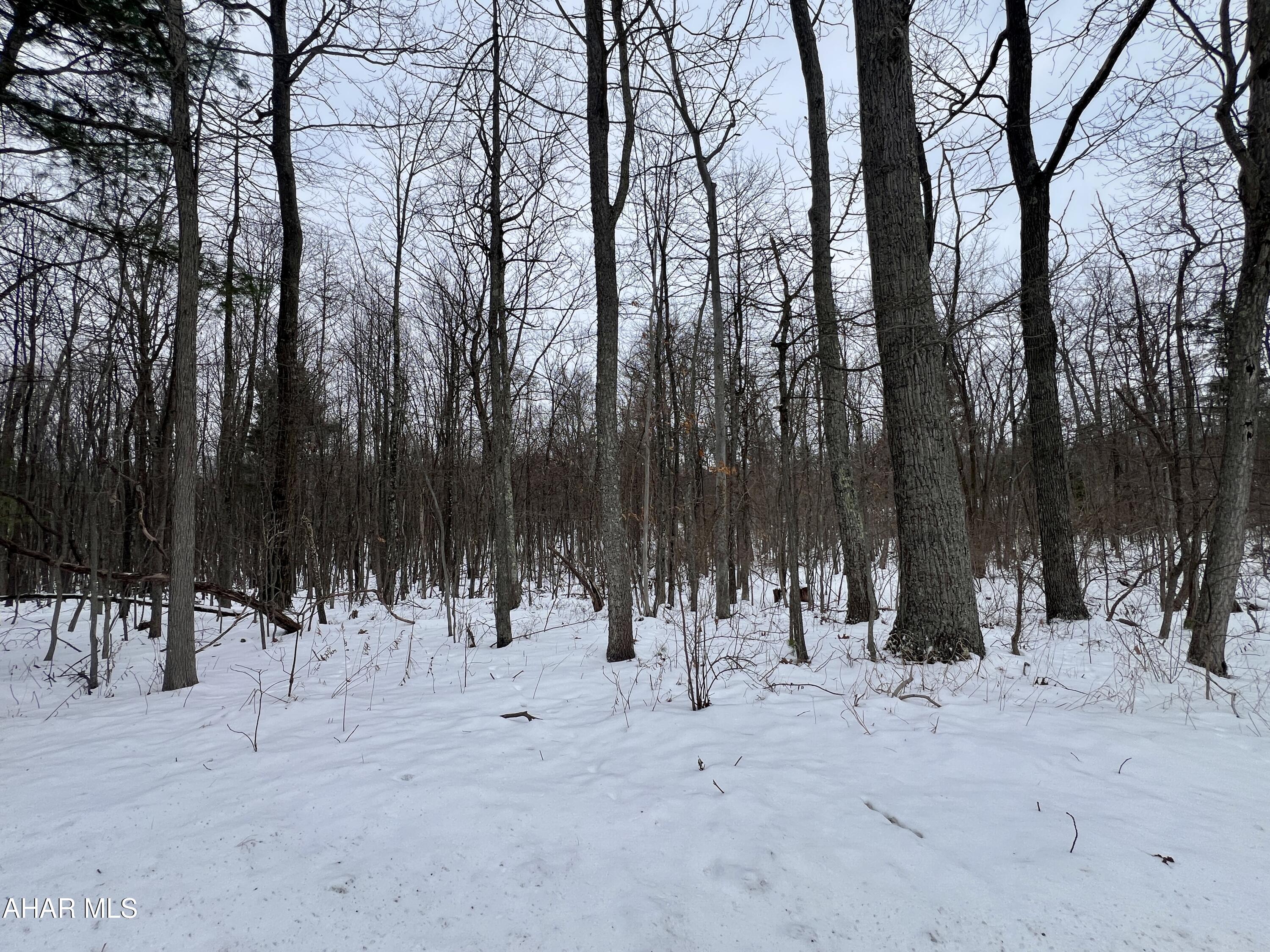 None - Commercial Sale