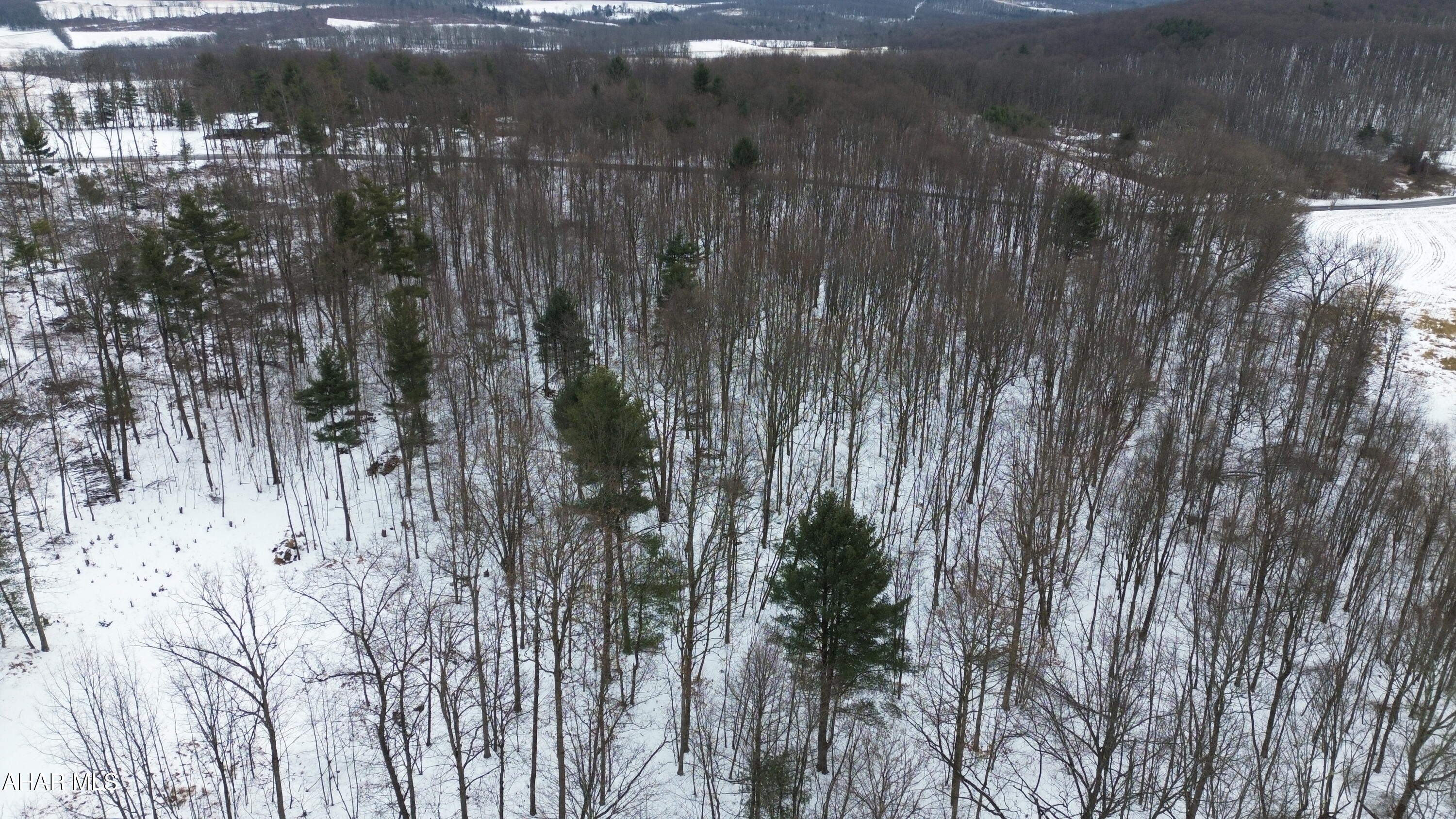 None - Commercial Sale