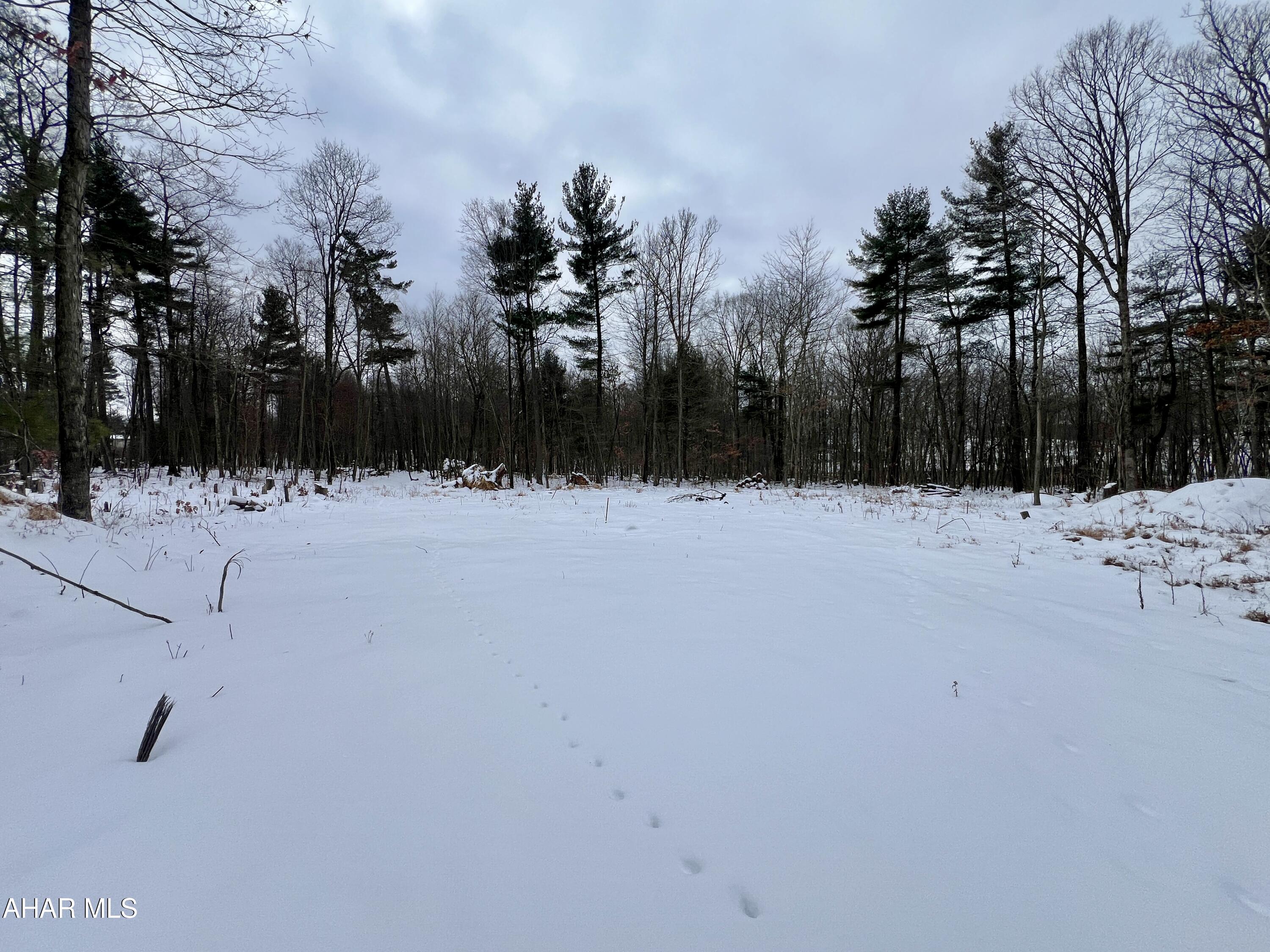 None - Commercial Sale