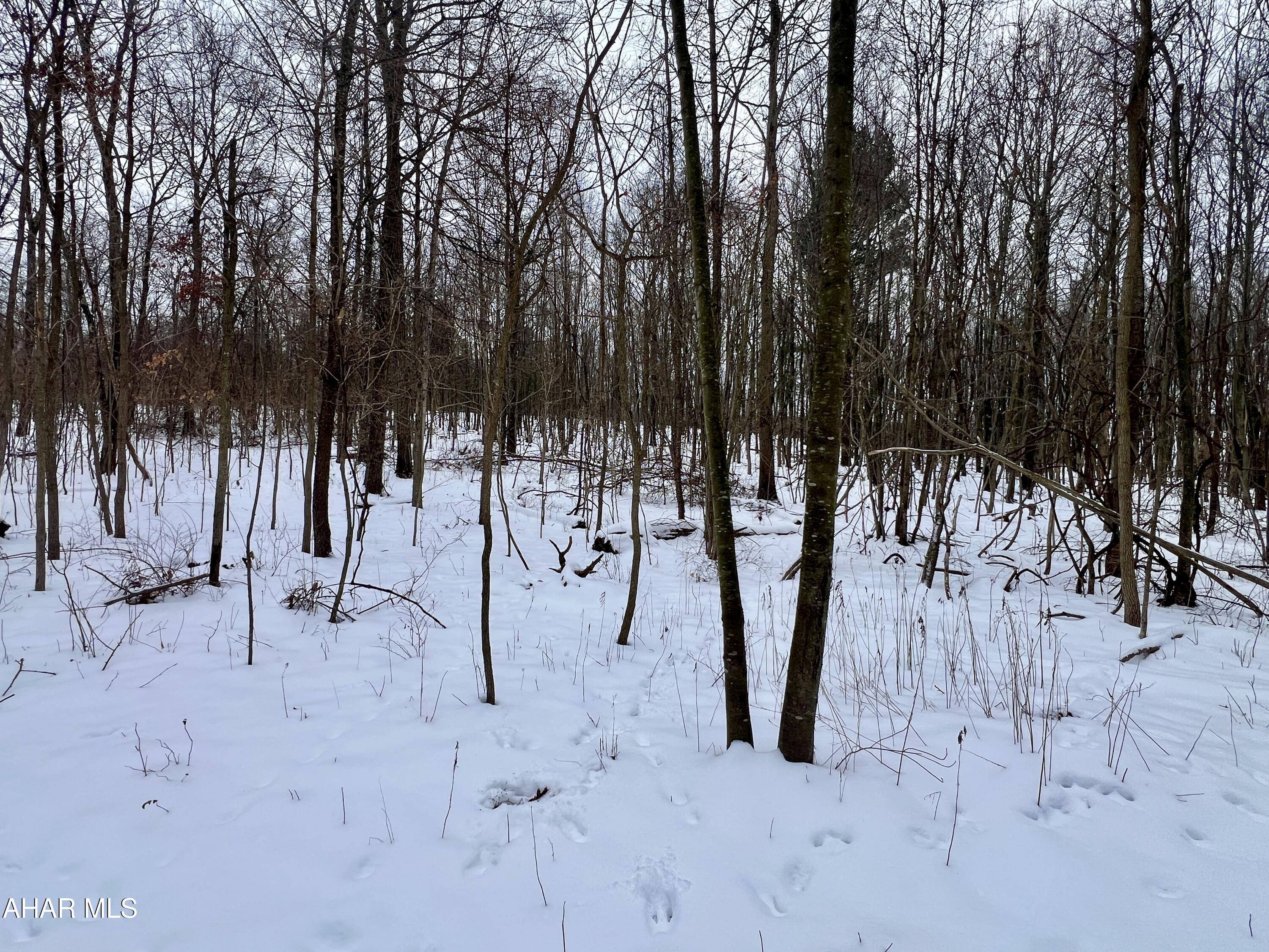 None - Commercial Sale