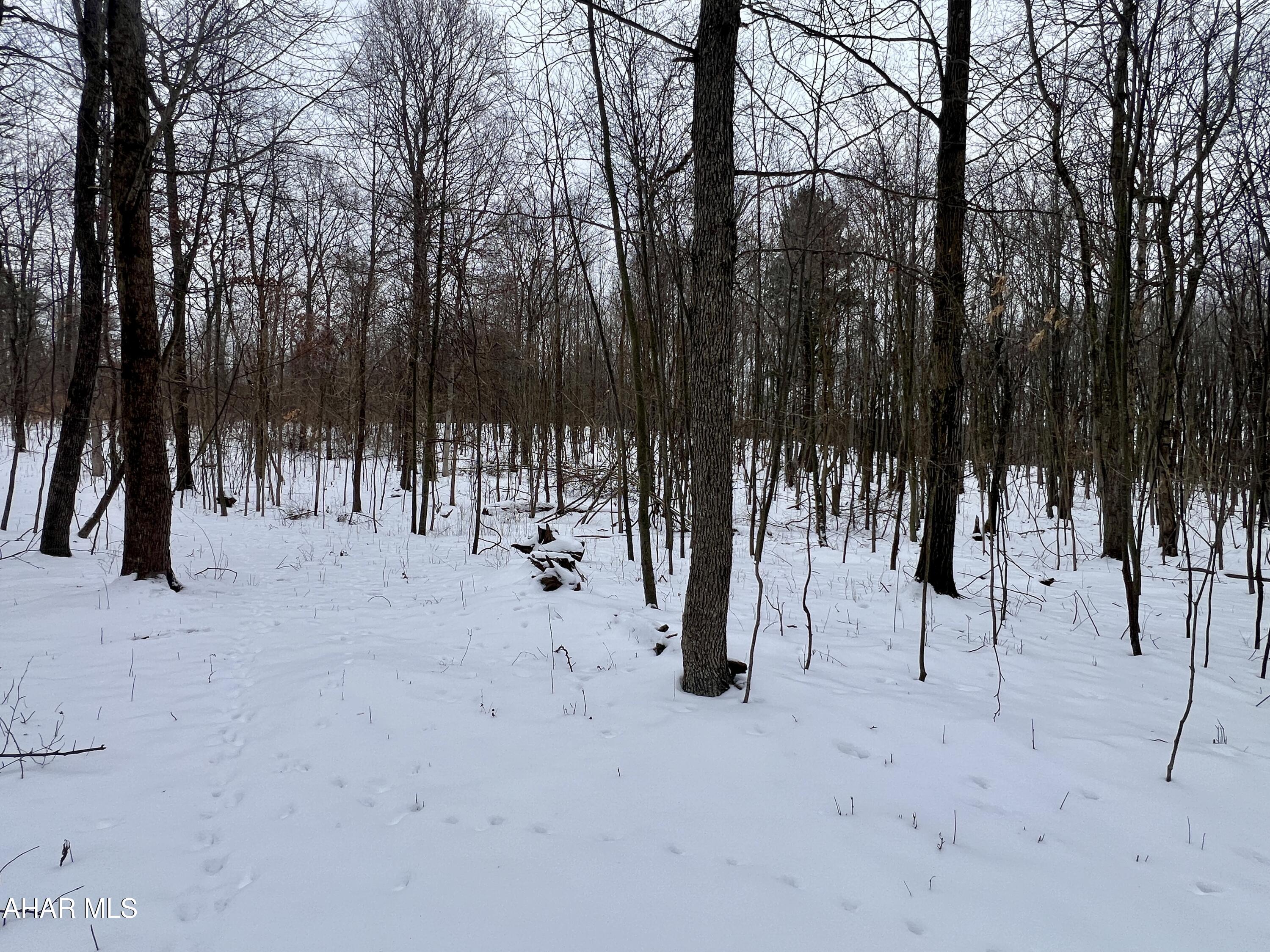 None - Commercial Sale