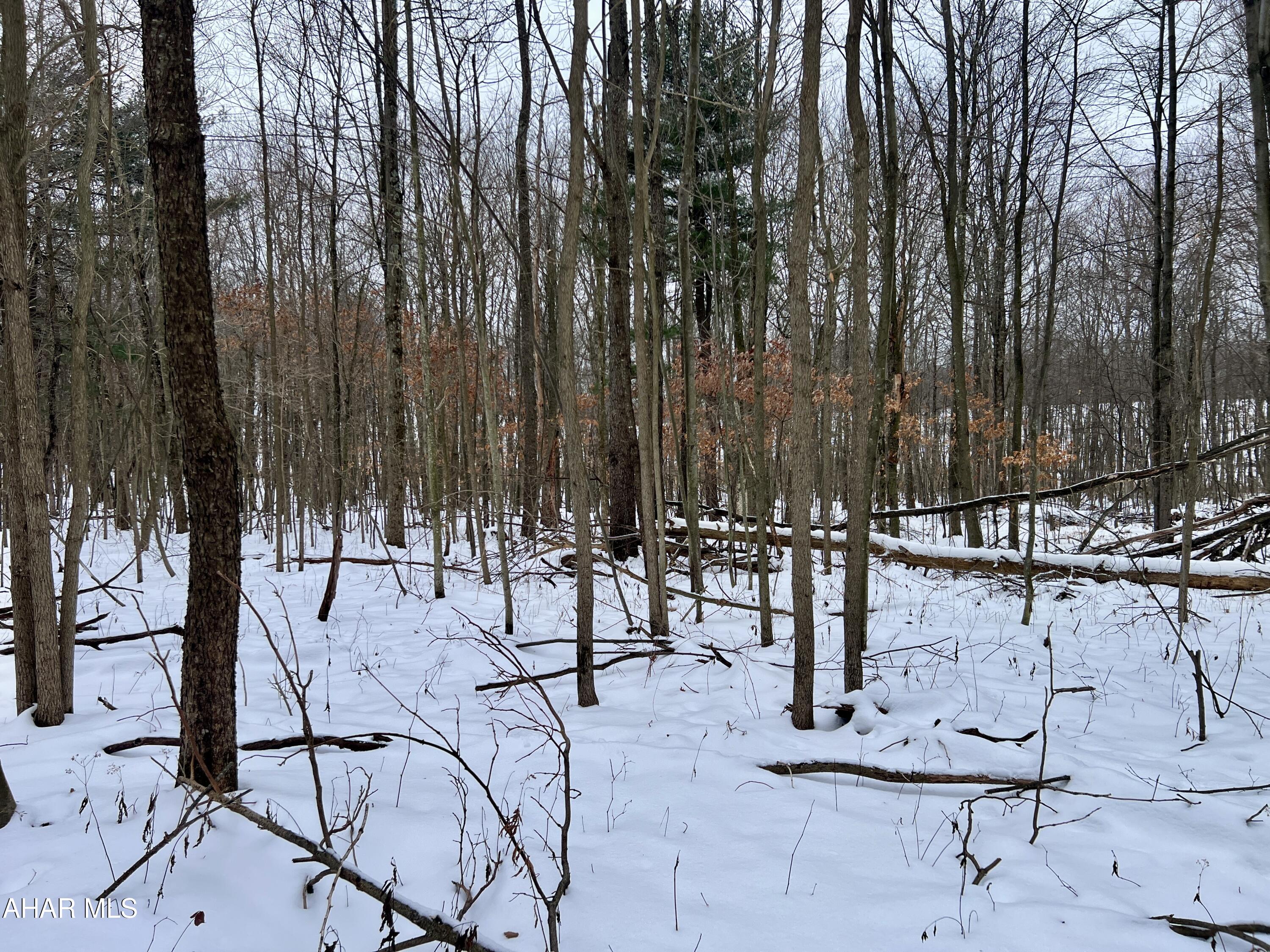 None - Commercial Sale