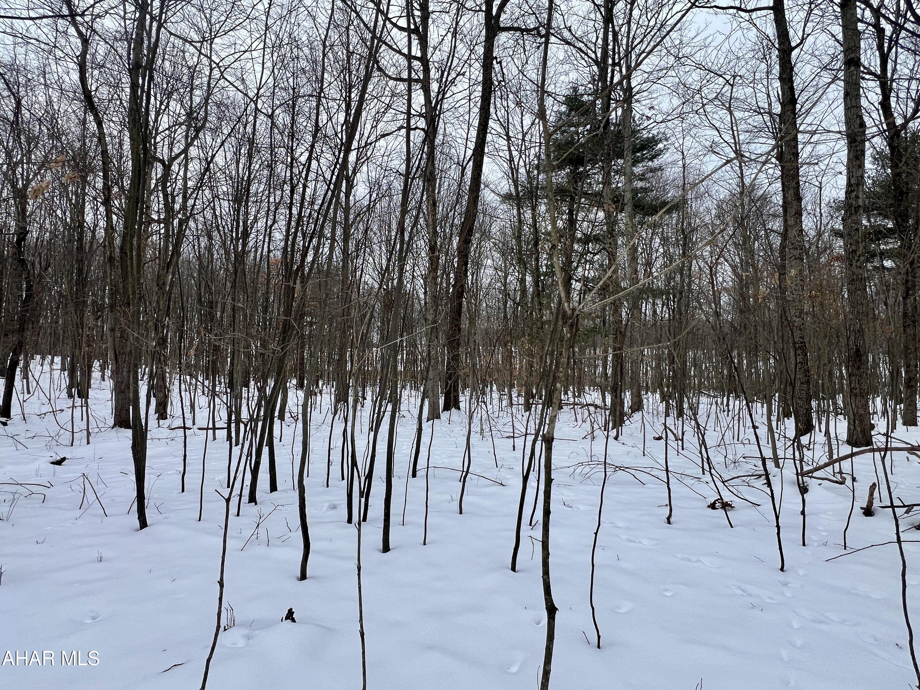 None - Commercial Sale