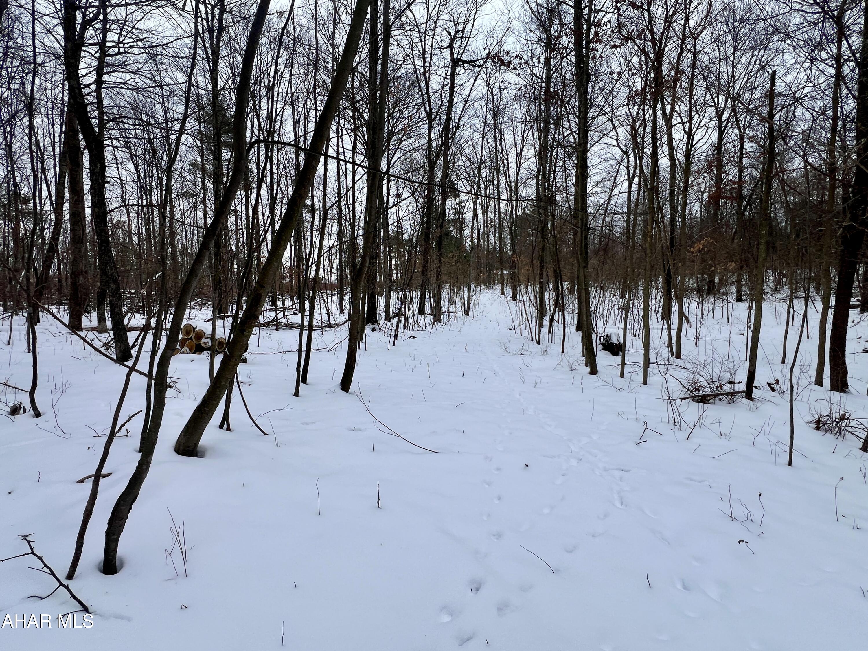 None - Commercial Sale