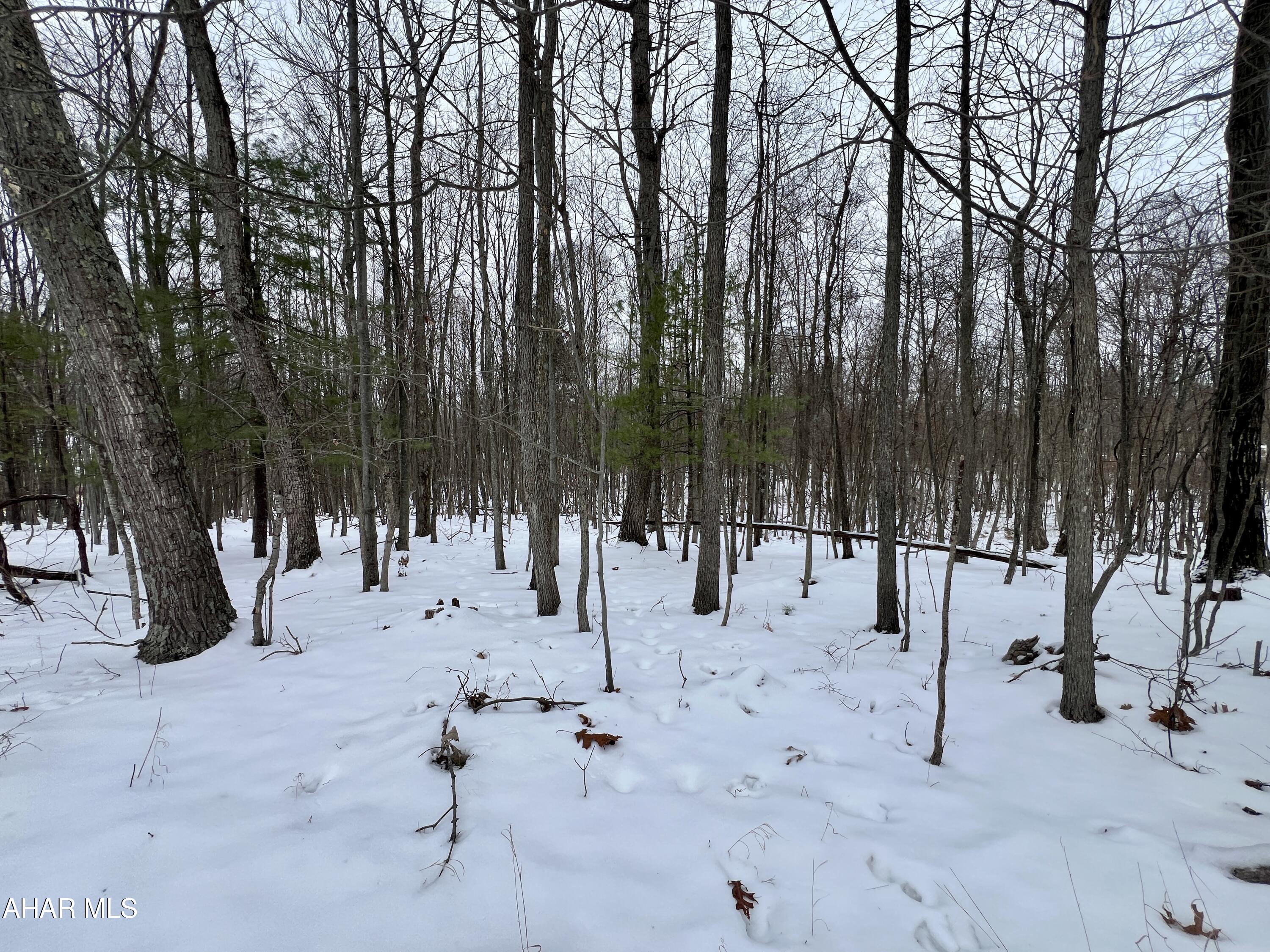 None - Commercial Sale