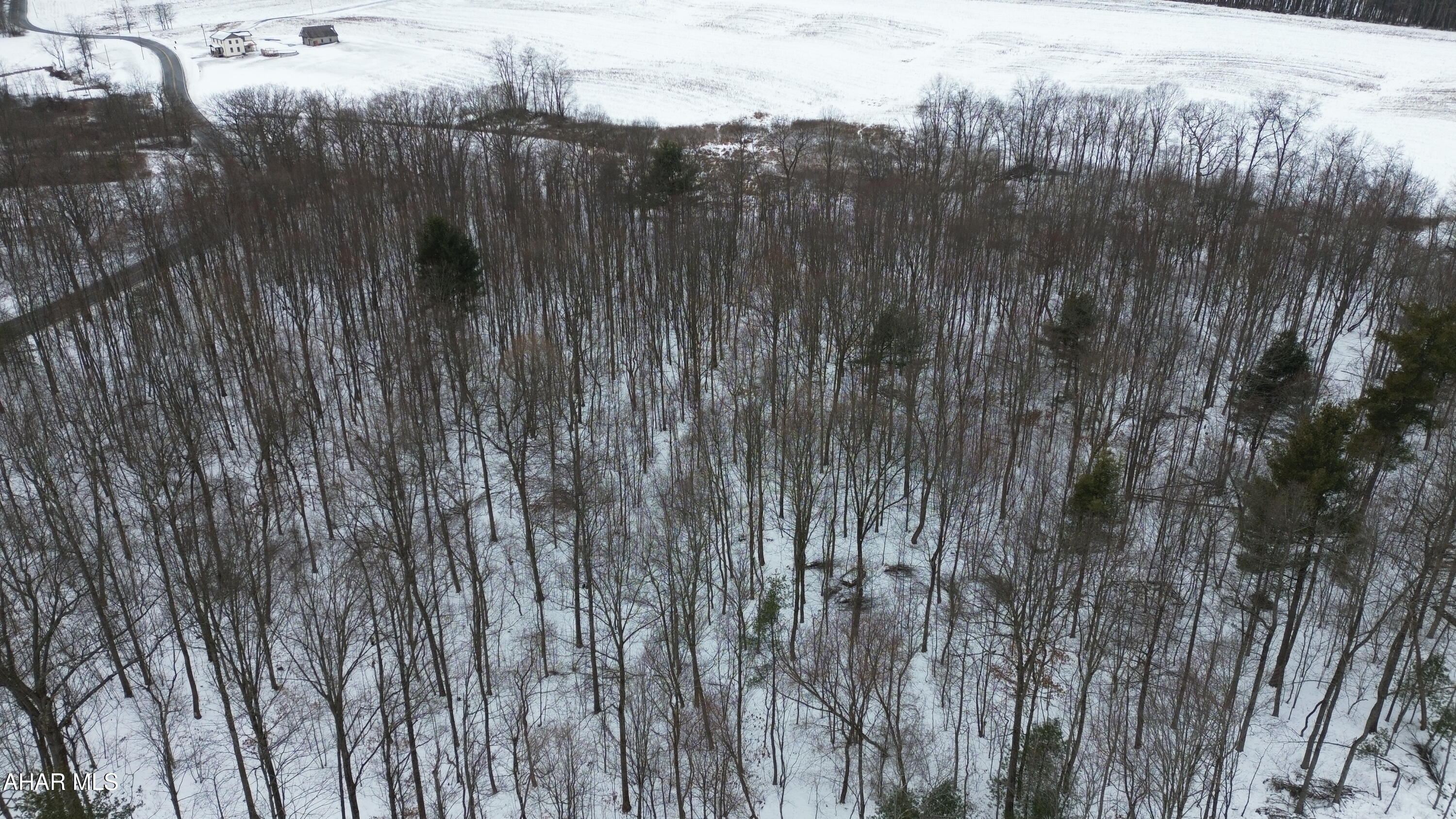 None - Commercial Sale