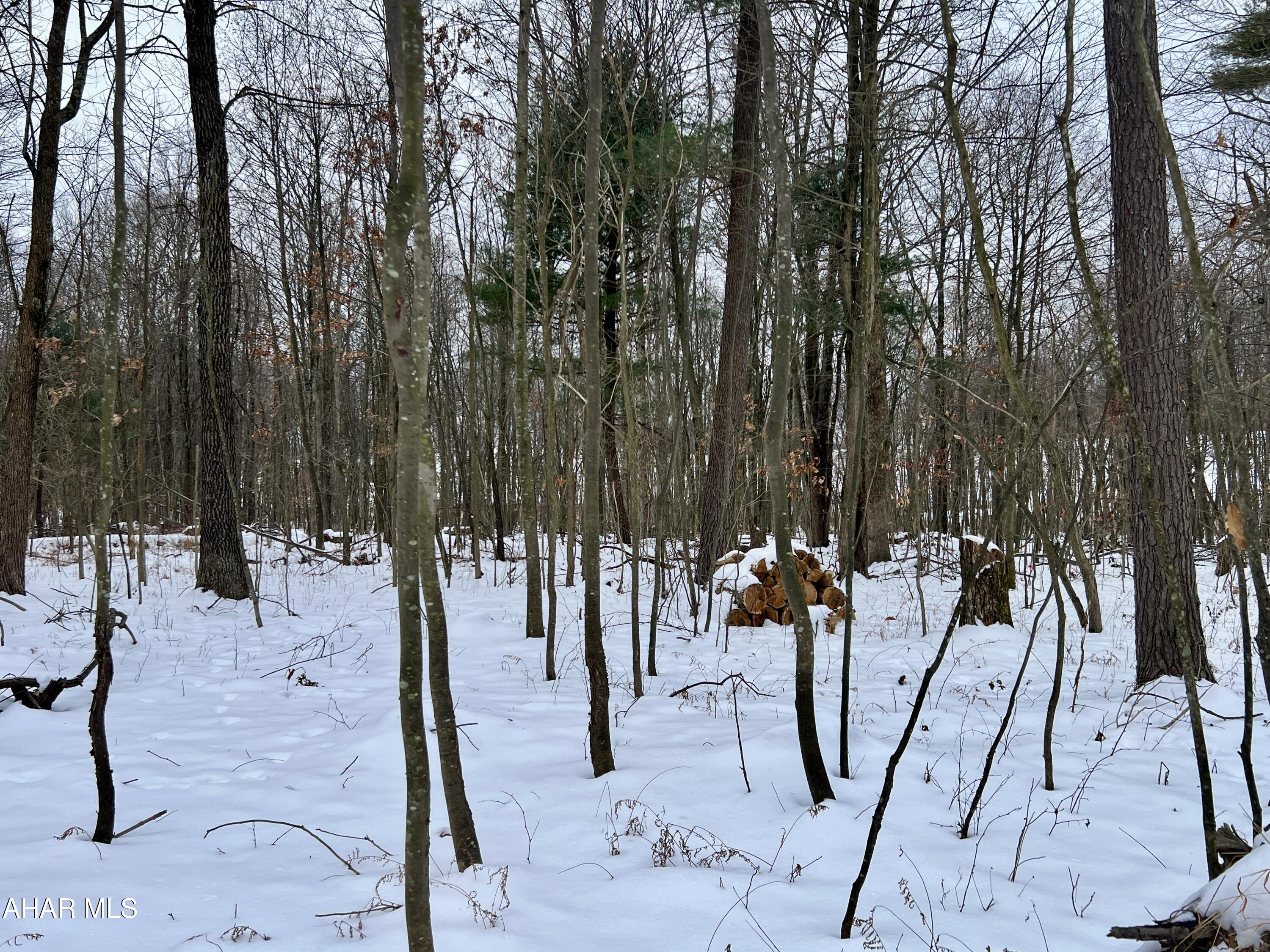 None - Commercial Sale