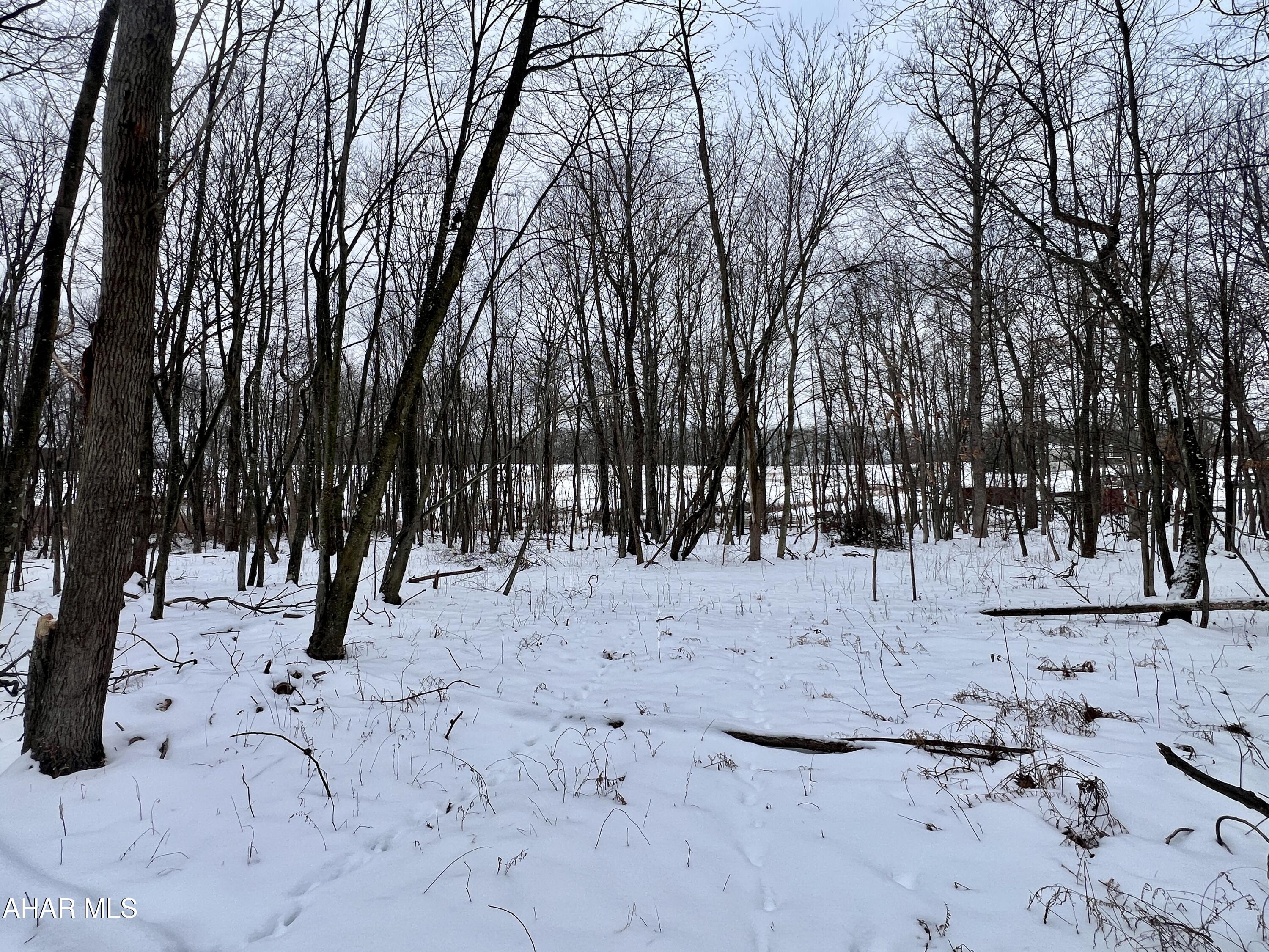 None - Commercial Sale