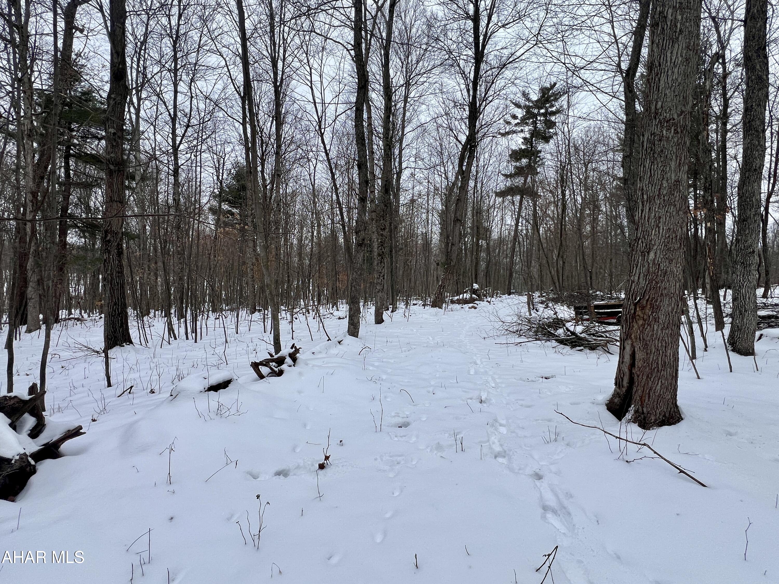 None - Commercial Sale