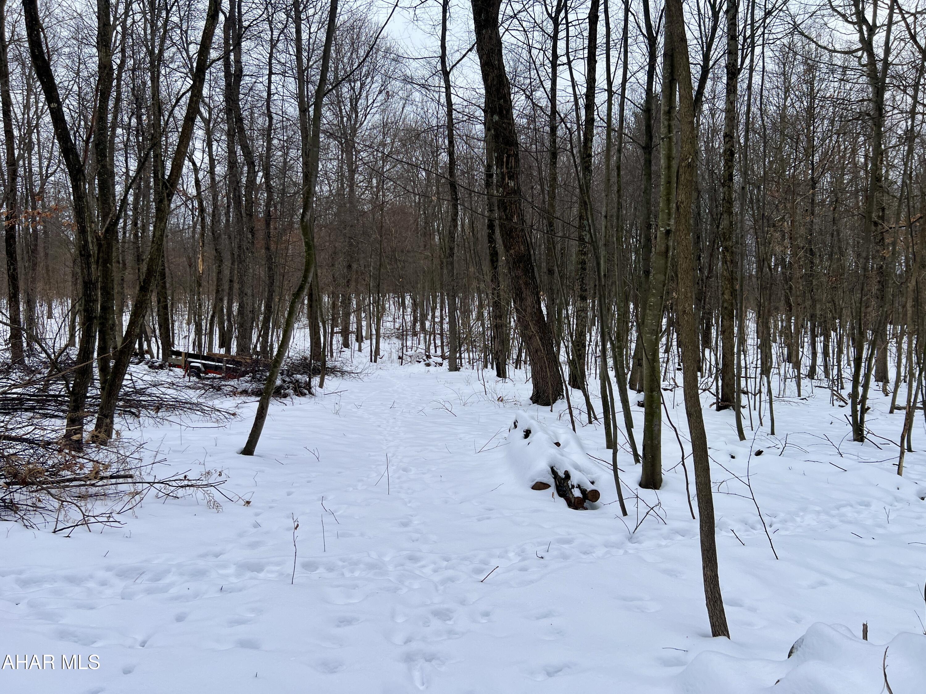 None - Commercial Sale