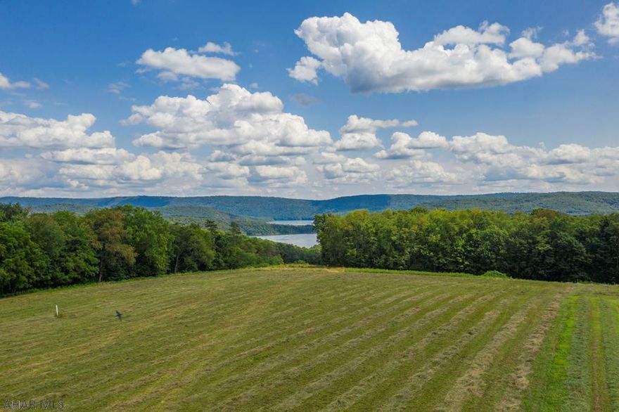 Lake view building lot overlooking Raystown Lake and adjacent to United States Army Corps of Engineers land. Easy access to property and direct walking access to lake. Located within minutes of Seven Points, Snyder's Run and Huntingdon businesses. One of the best unobstructed views of the lake is awaiting your dream home! Enrolled in clean & green for low taxes. Lot #1 is 10.349 acres.