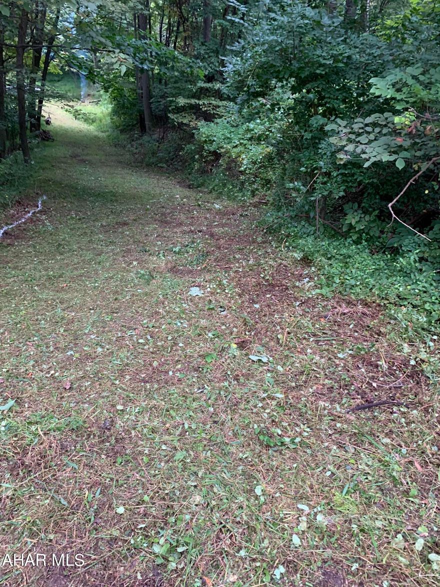 Welcome to this stunning 6 acre lot nestled in a serene mountain area in Hollidaysburg school District. This mostly wooded property offers a private well and sewer. Ideal for those seeking tranquility and natural beauty, consists of lots of wildlife and a natural spring that forms a small stream through the property. This lot provides the perfect setting for your dream home or getaway retreat.