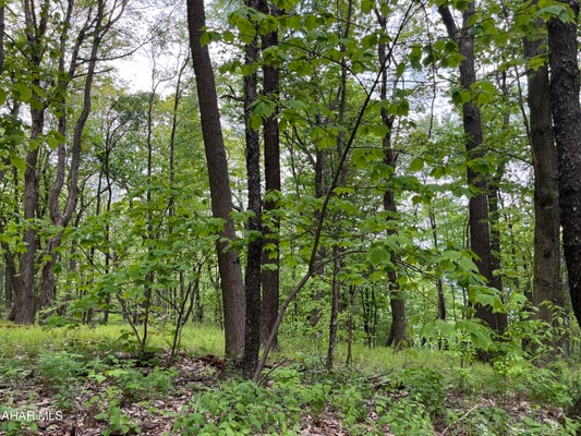 LITTLE VALLEY RD, CLAYSBURG, PA 16625 - Image 91f5d12055ee5979a2a6b6b80571a3cc/2752700154