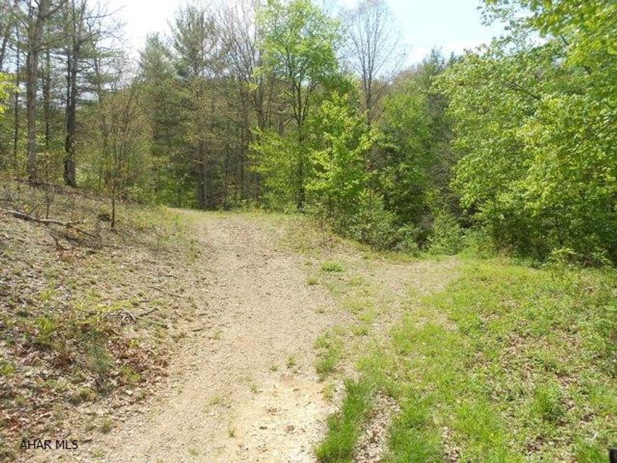 Surveyed, perced and waiting for you to buy. This beautiful piece of ground has everything you could ever want to own. Hollows, stream, evergreens, views, timber value of appx $1,000 per acre. Must have a four wheel drive, survey map available.