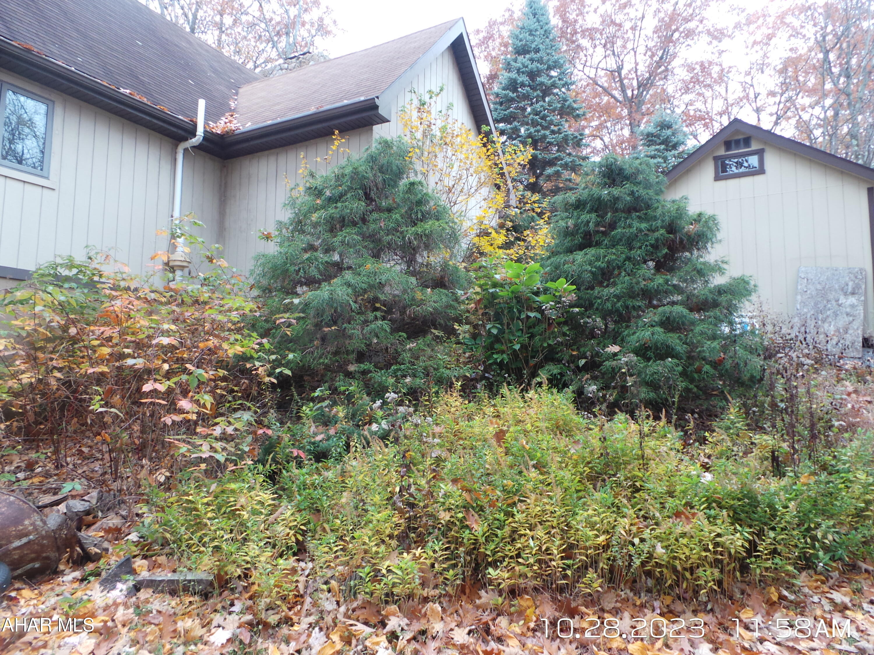 Blue Knob - Residential