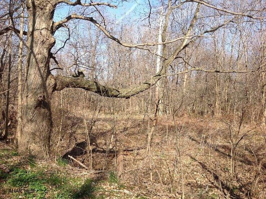 NICE FLAT WOODED ACRES JUST MINUTES TO SHAWNEE STATE PARK . GREAT HUNTING AND FISHING AND RECREATIONAL PROPERTY WITH STREAM ALONG EDGE OF PROPERTY .YEAR AROUND ACCESS. GREAT PLACE FOR A SUMMER RETREAT CABIN OR HOME.
