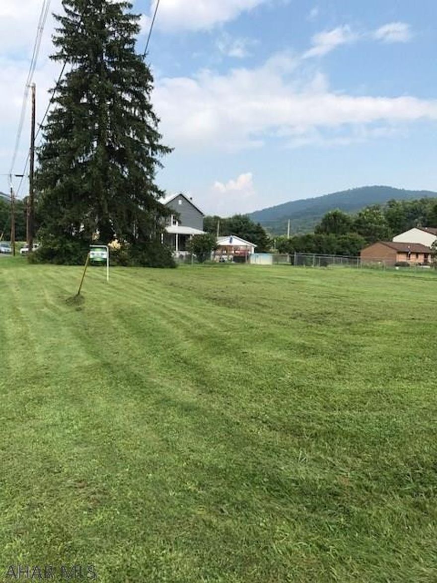 Beautiful piece of land.  level.