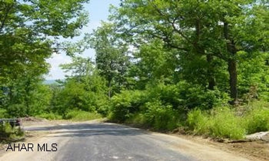 Perk test completed.  Located in Logan Township.  Access to lot located off Shannon Road.  Pending final Subdivisoin approval.