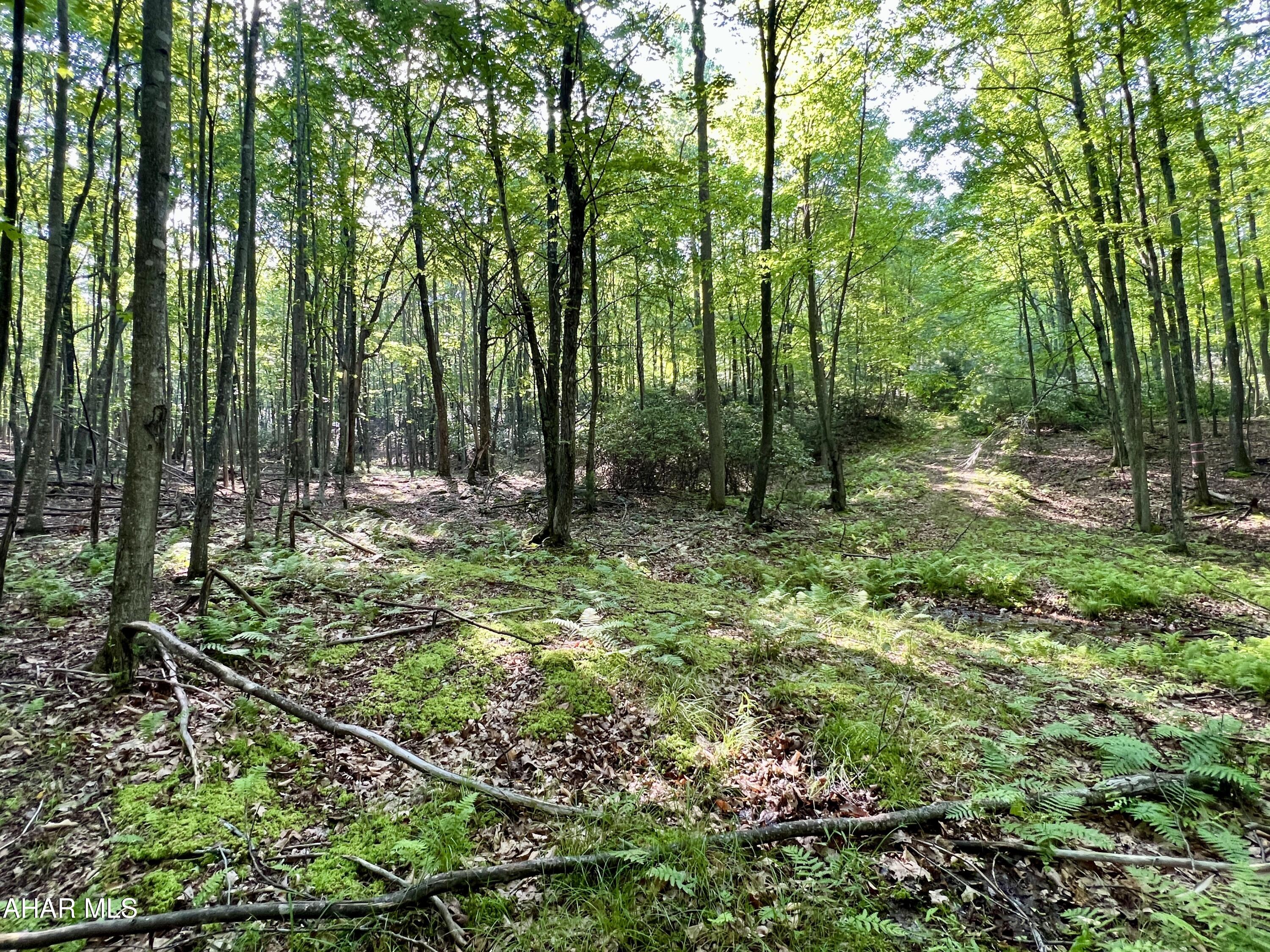 None - Commercial Sale