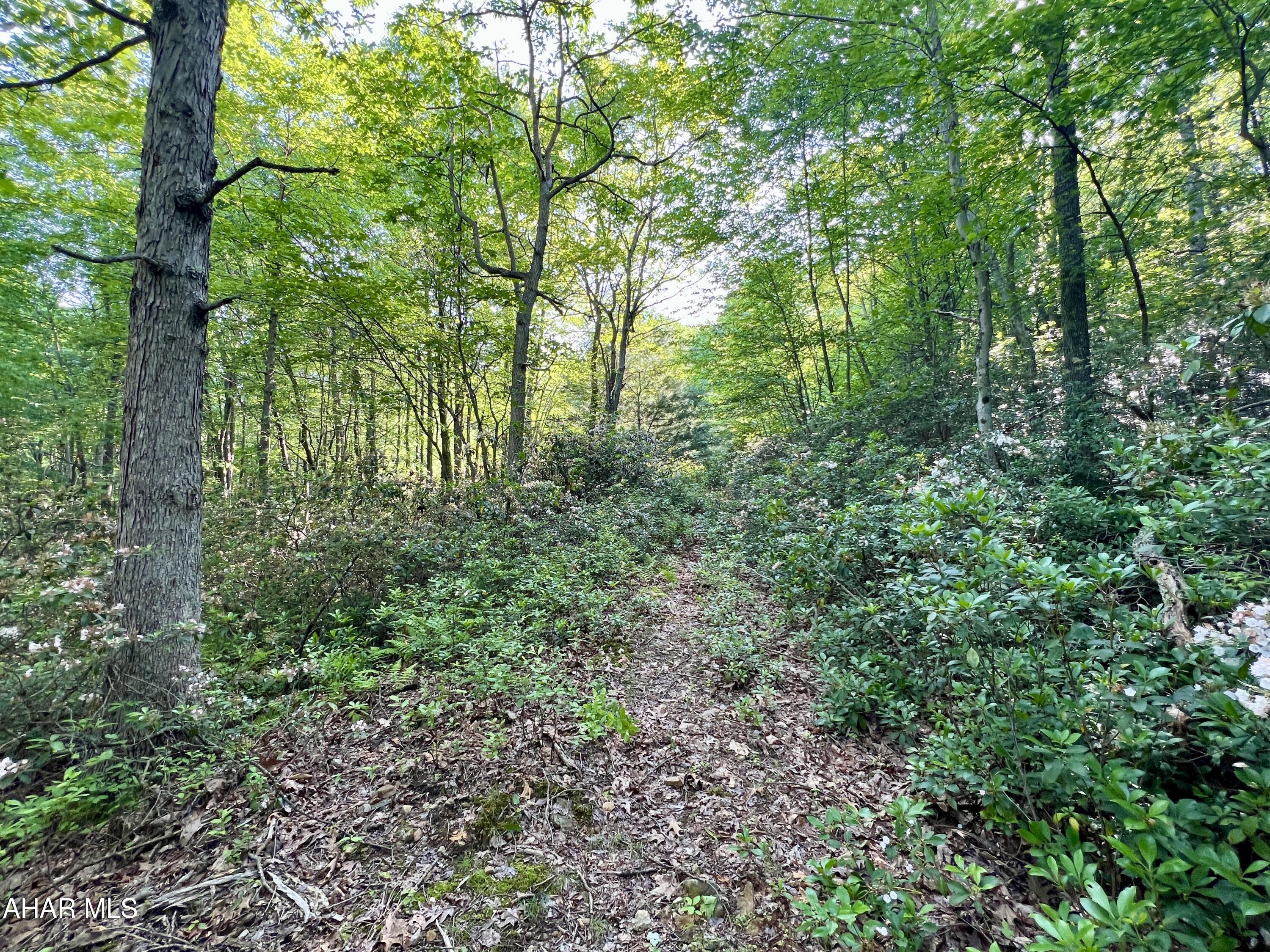 None - Commercial Sale