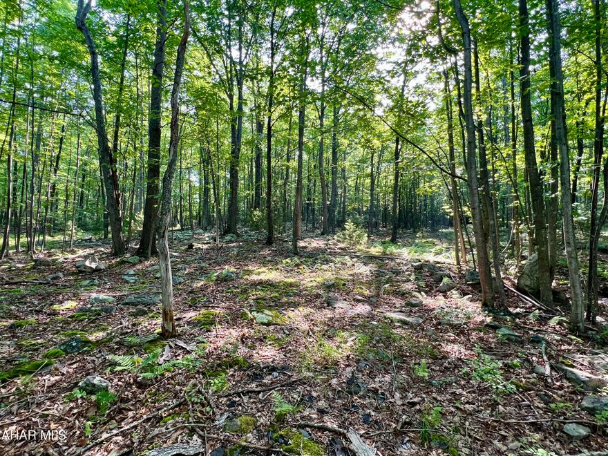 25+/- Acres bordering the PA Buchanan State Forest. Whether you're looking to build a getaway or a full-time residence or just looking for land, this location offers endless possibilities for hunting, riding ATVs and horses, hiking, and exploring the great outdoors with easy access to I-68 & Rocky Gap Casino Resort.