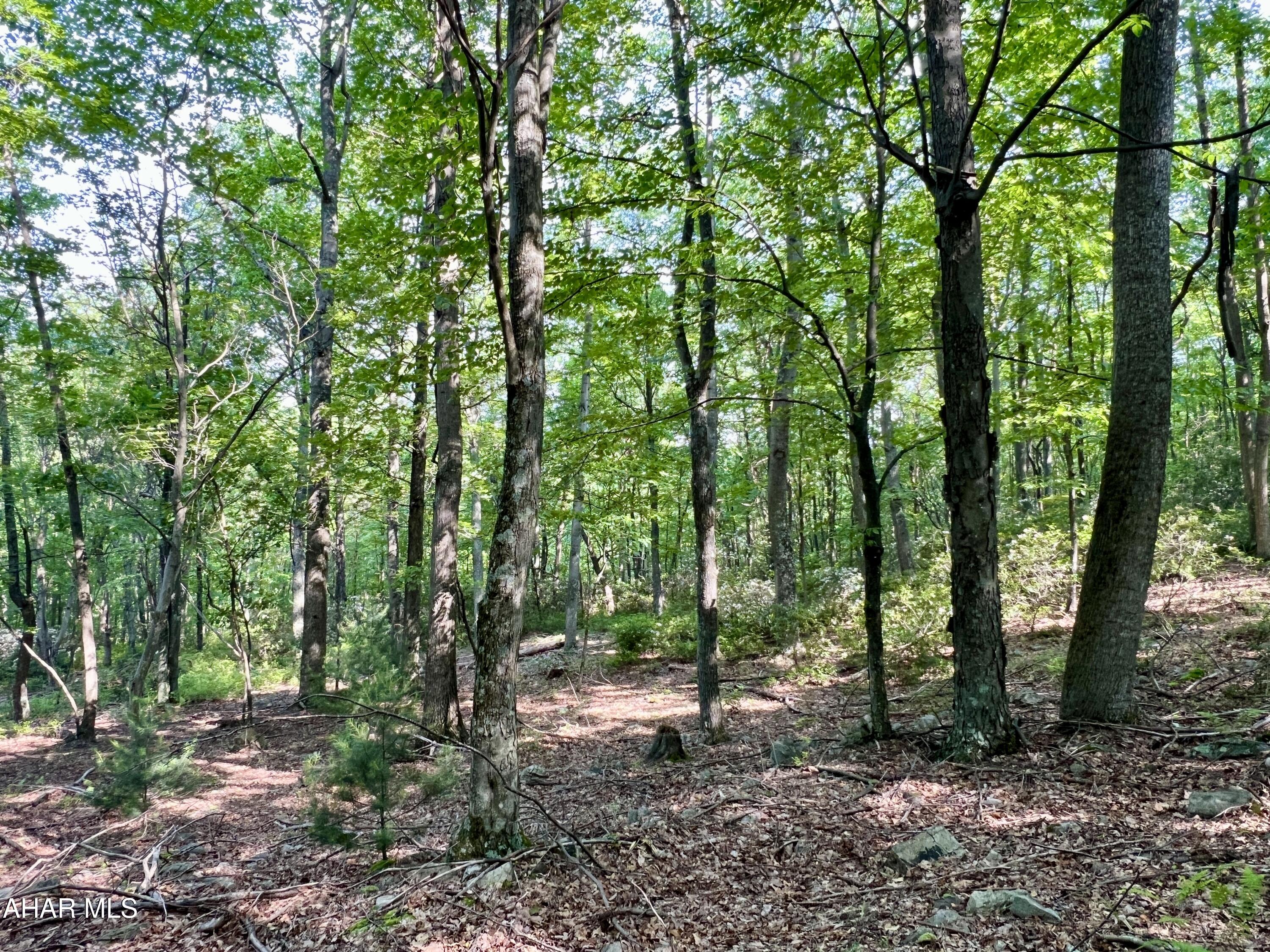 None - Commercial Sale